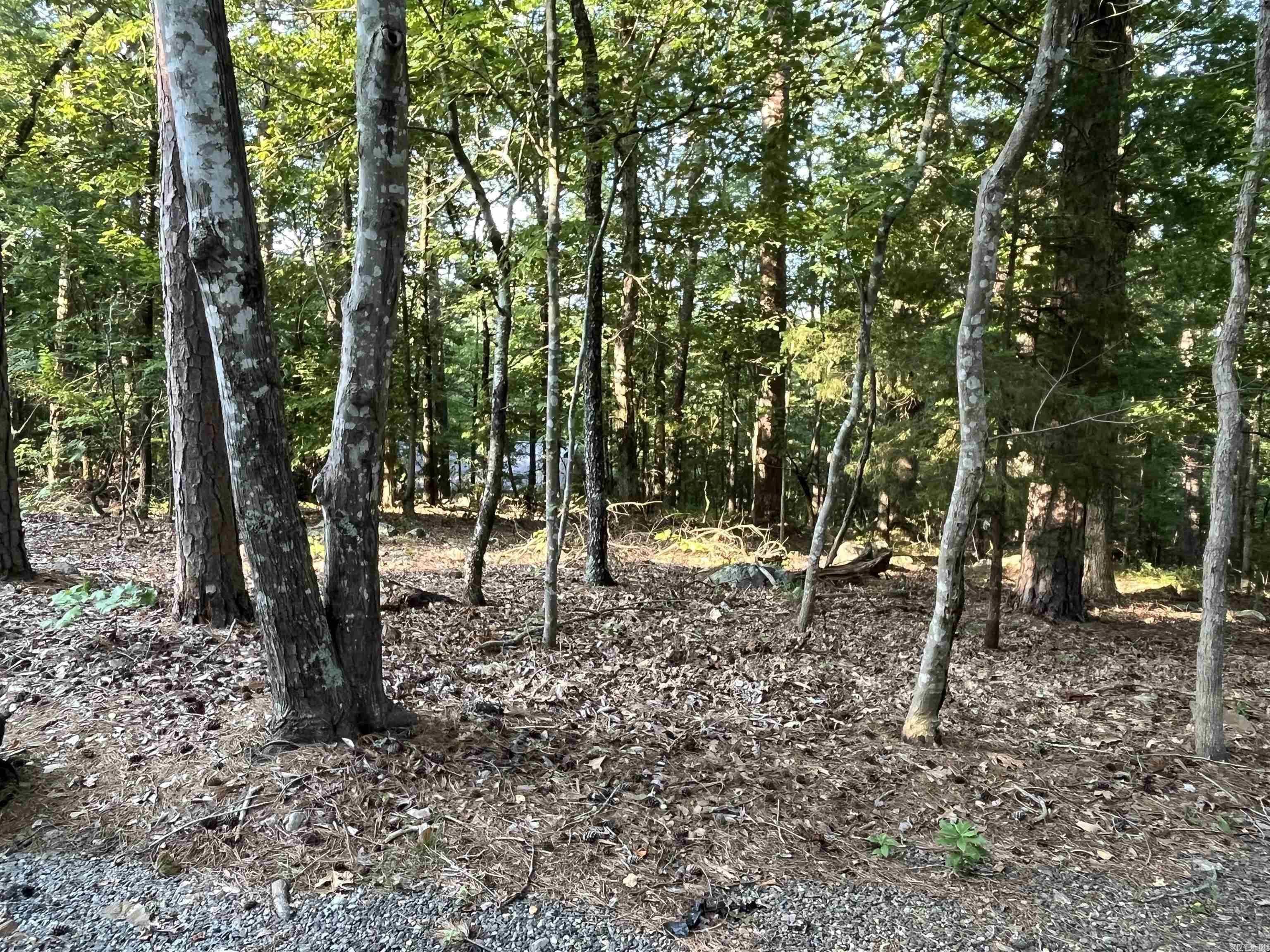 19  Marbella  Ln  Hot Springs Village, AR