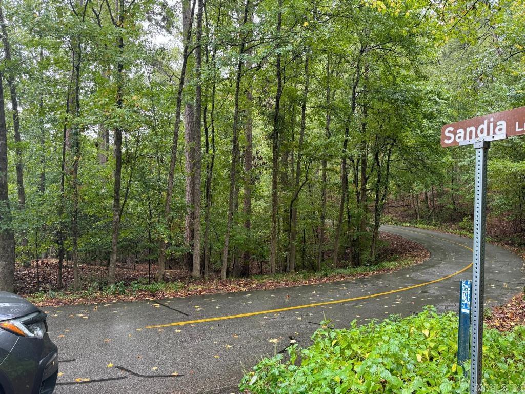 78  Arjona  Hot Springs Village, AR