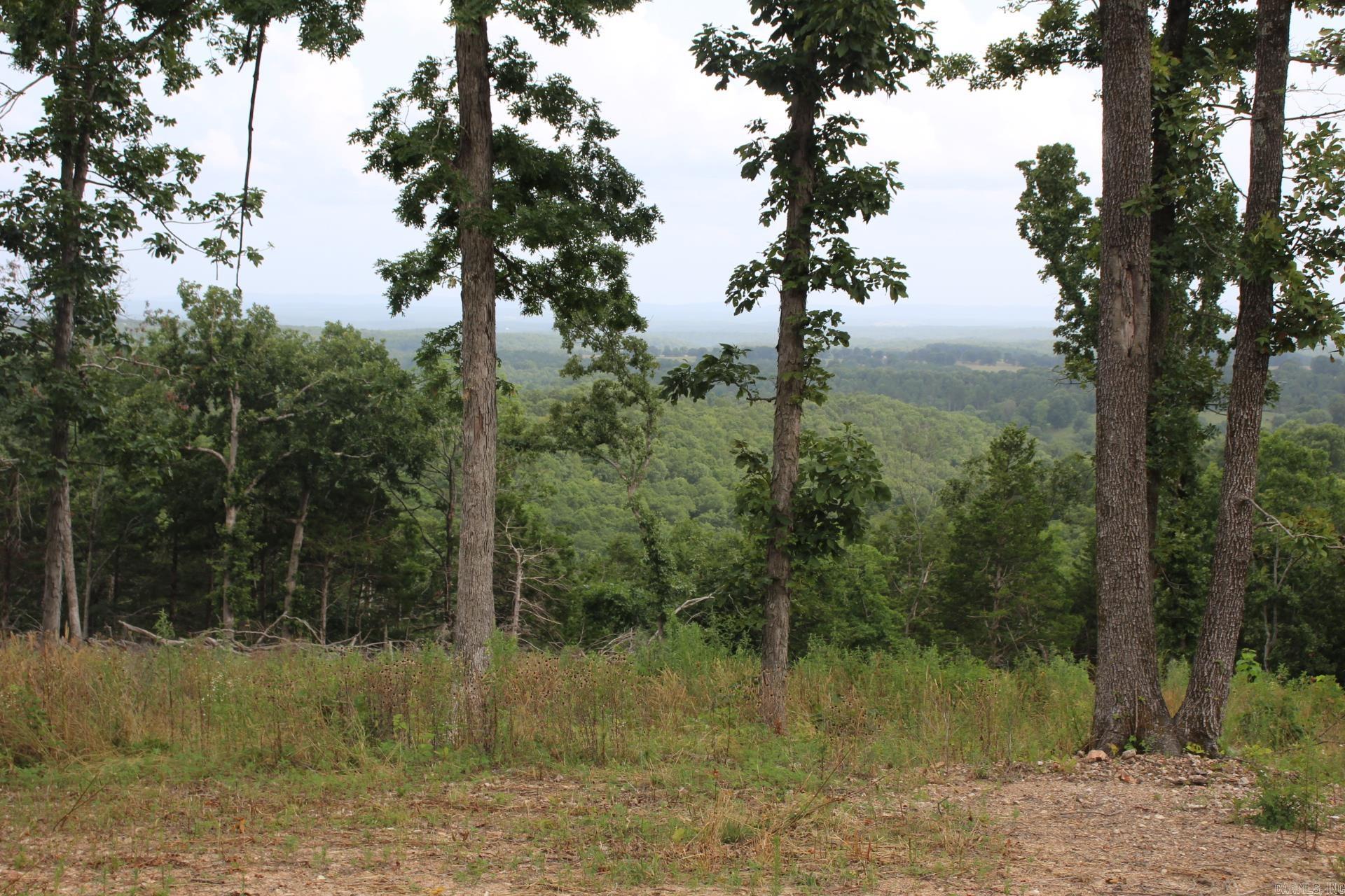 Tract 6  MC 5039  Valley Springs, AR