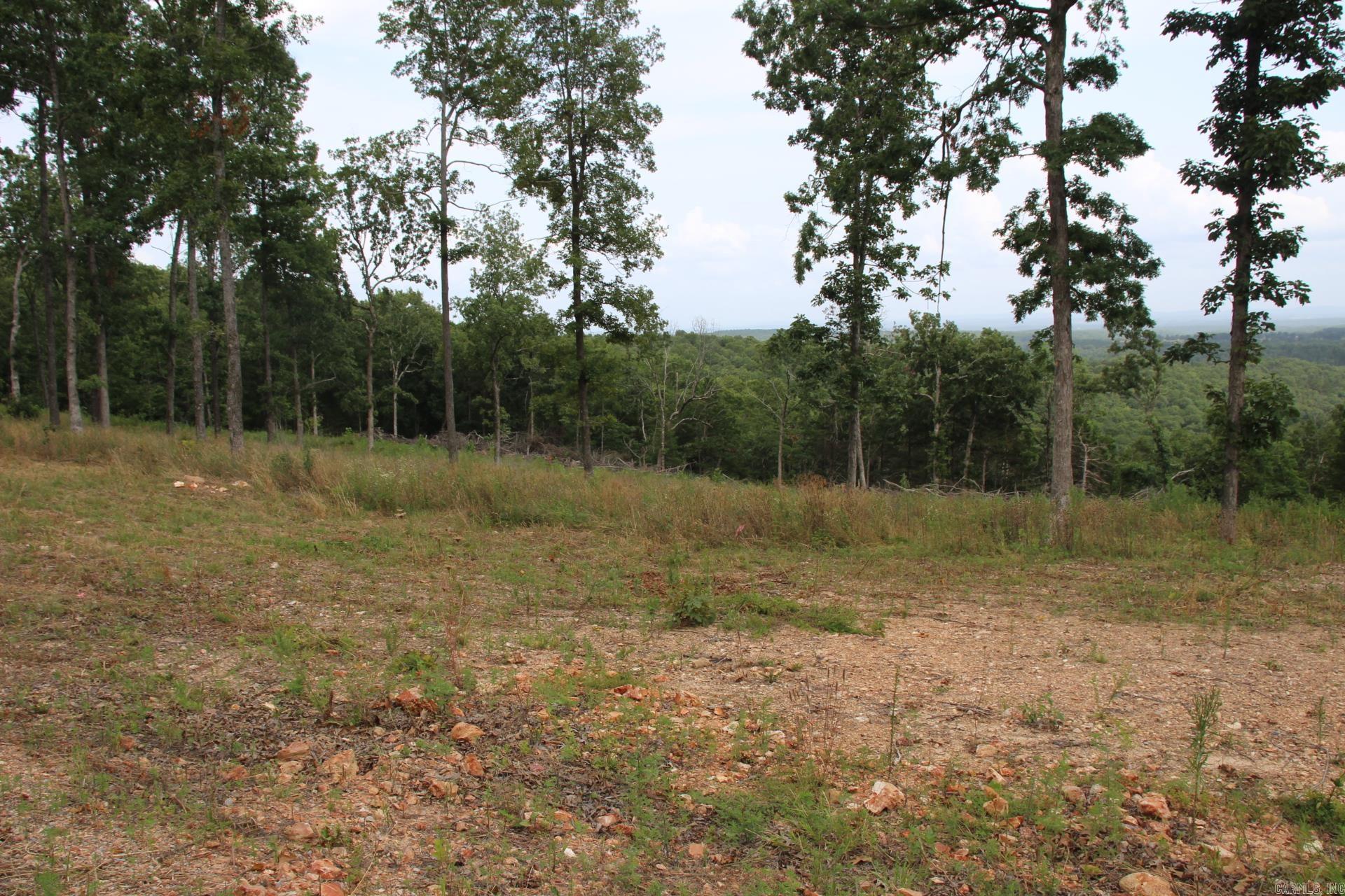 Tract 6  MC 5039  Valley Springs, AR
