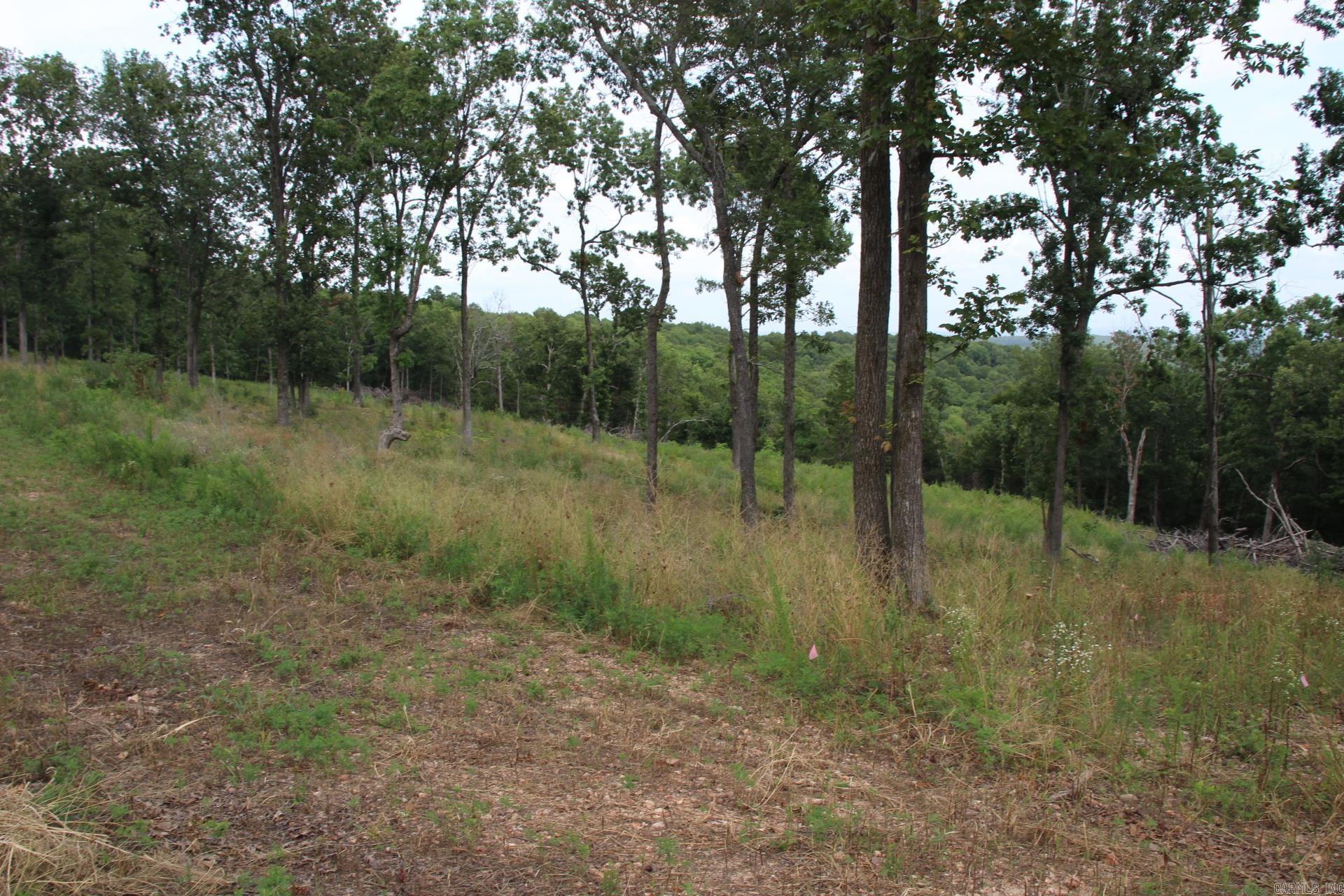 Tract 4  MC 5039  Valley Springs, AR