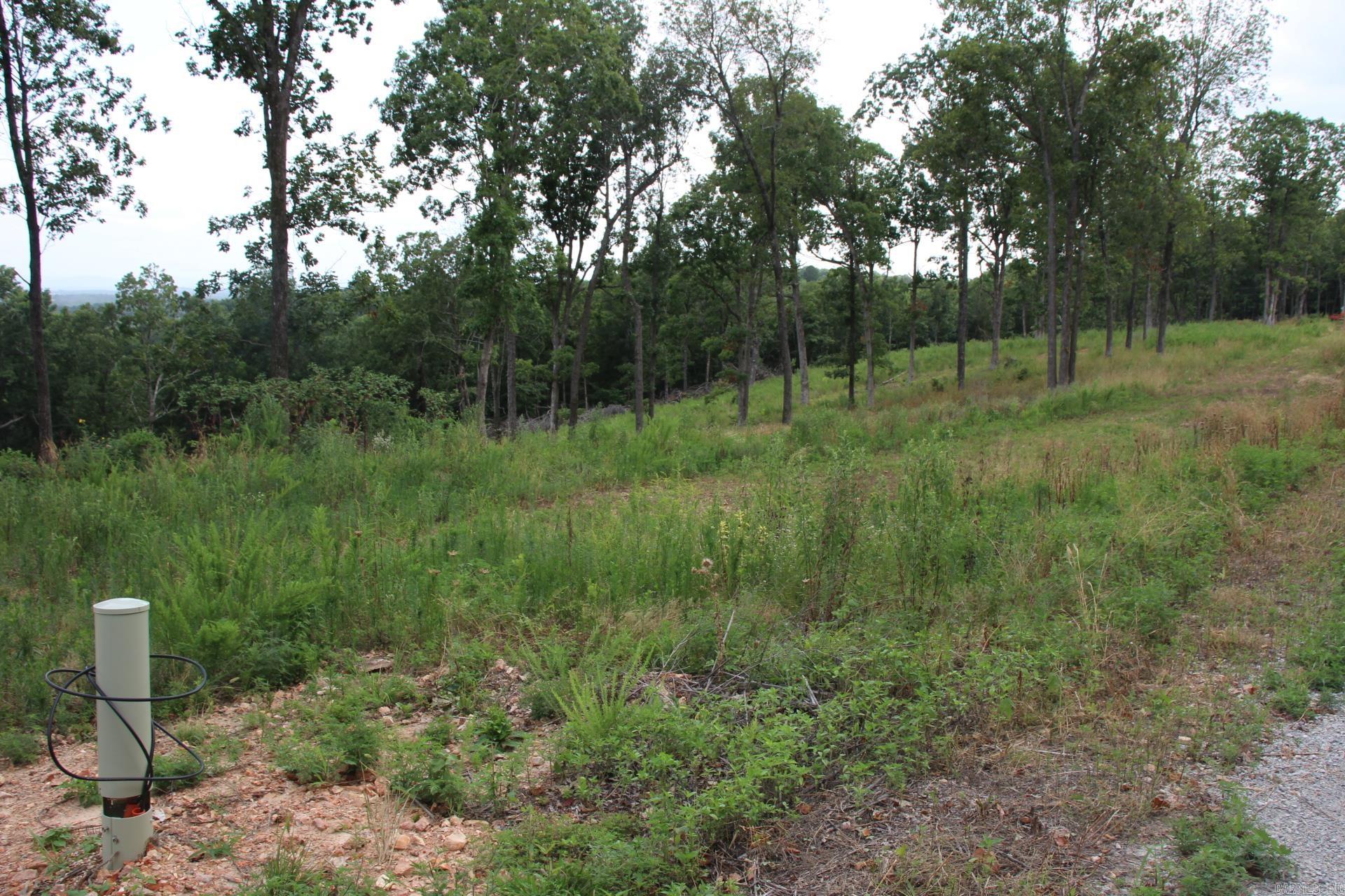 Tract 4  MC 5039  Valley Springs, AR