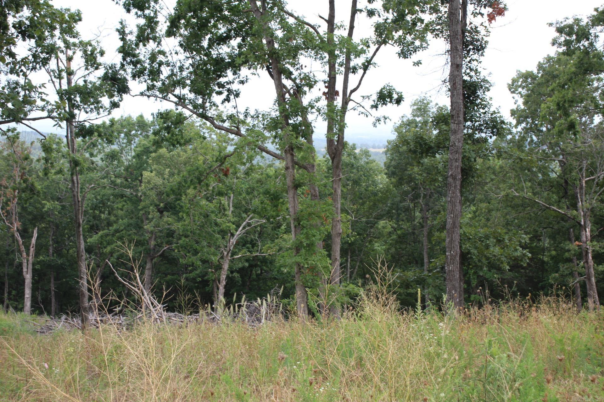 Tract 4  MC 5039  Valley Springs, AR