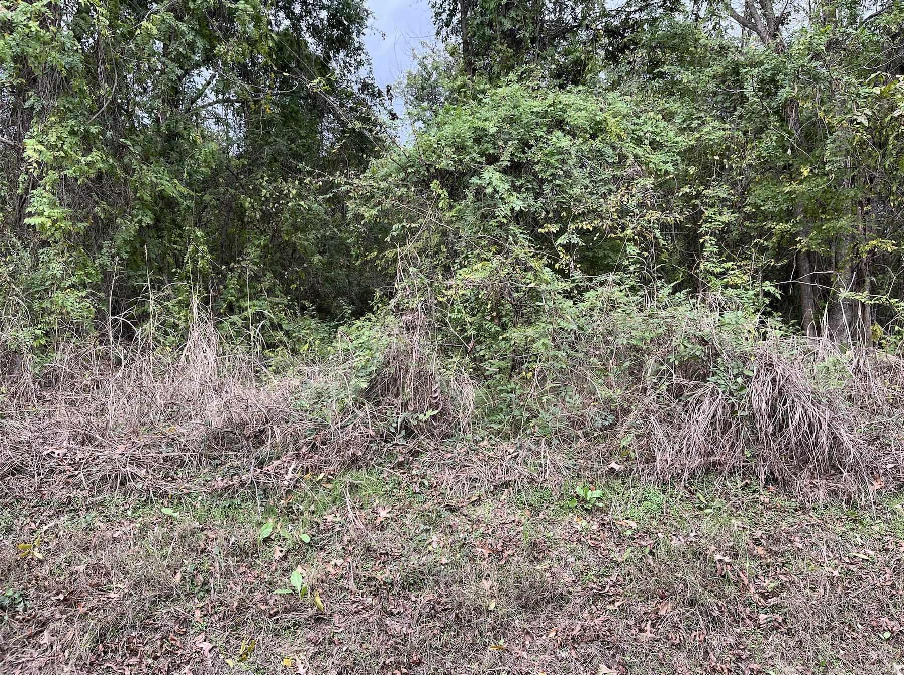 TBD  Burrow  Morrilton, AR