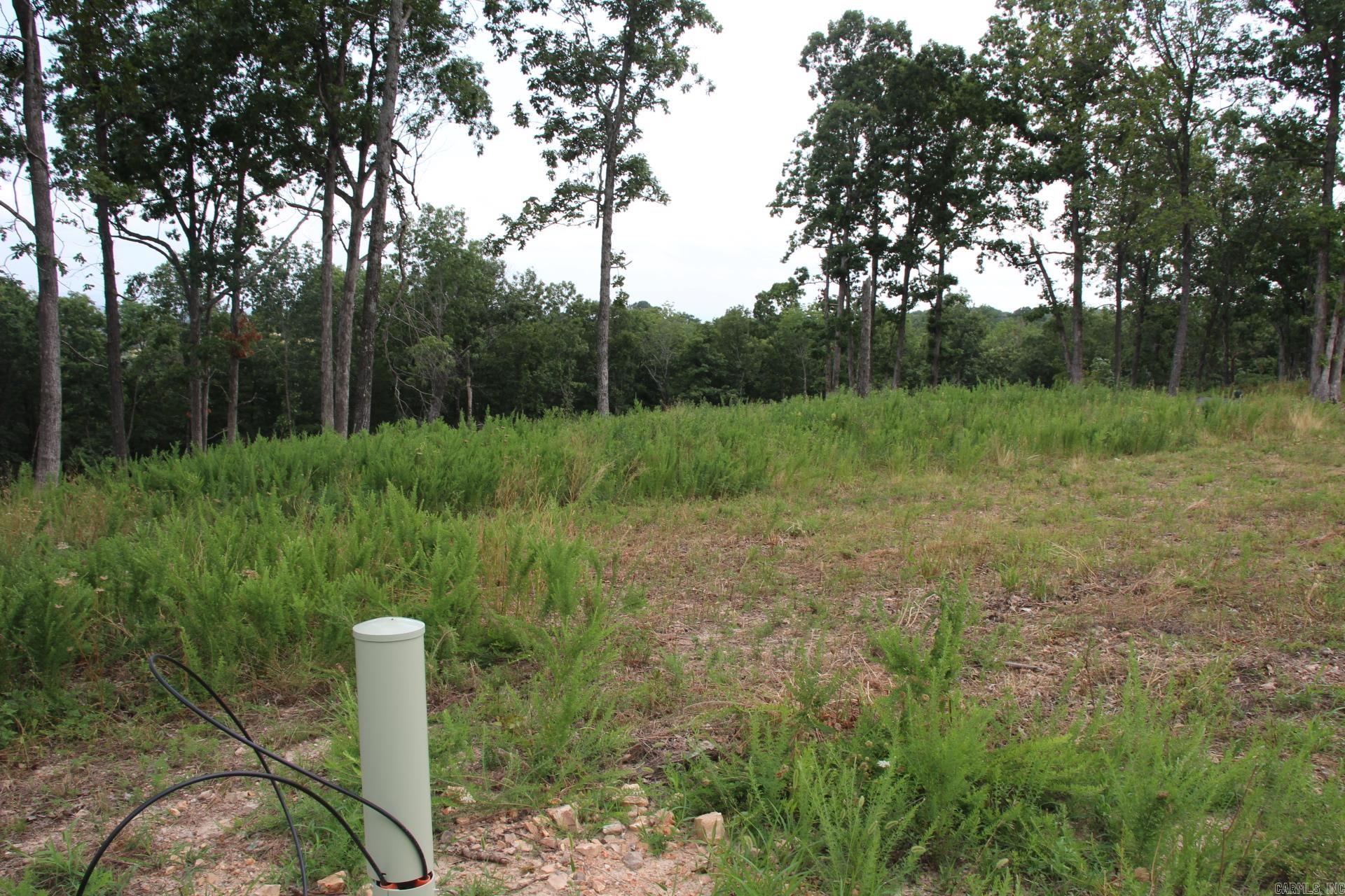 Tract 3  MC 5039  Valley Springs, AR
