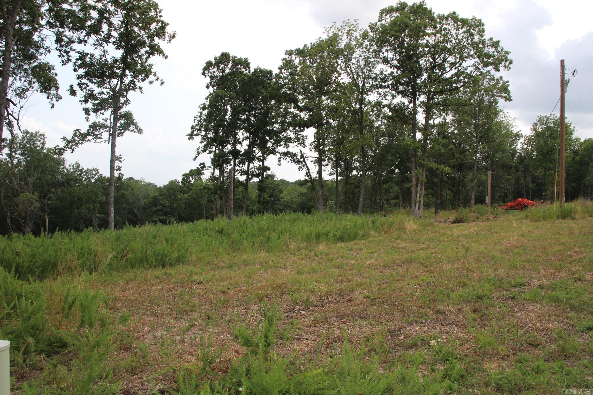 Tract 3  MC 5039  Valley Springs, AR