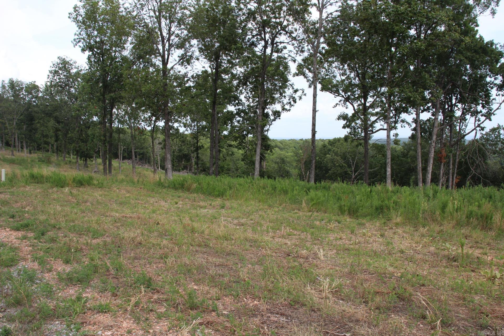Tract 3  MC 5039  Valley Springs, AR