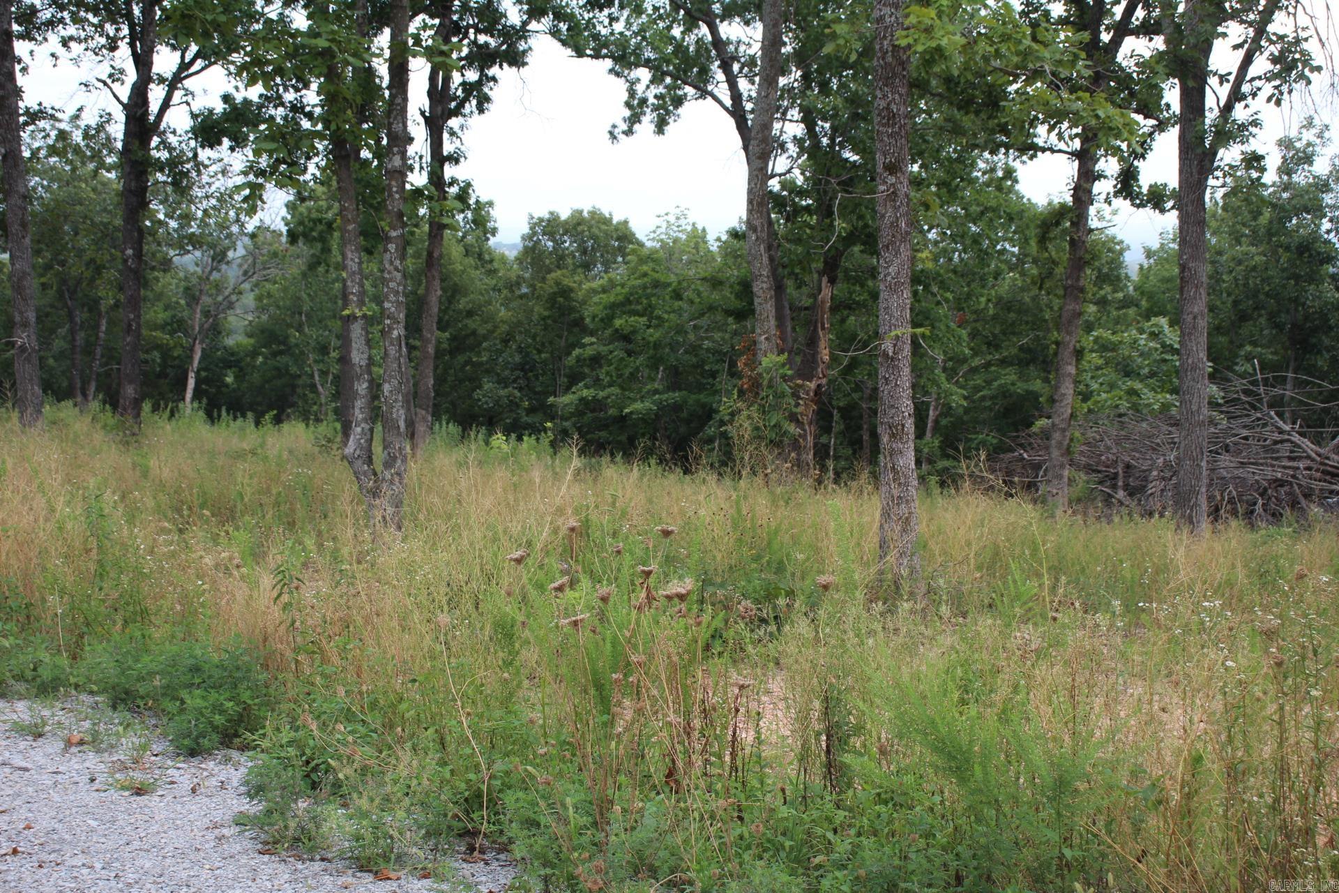Tract 2  MC 5039  Valley Springs, AR