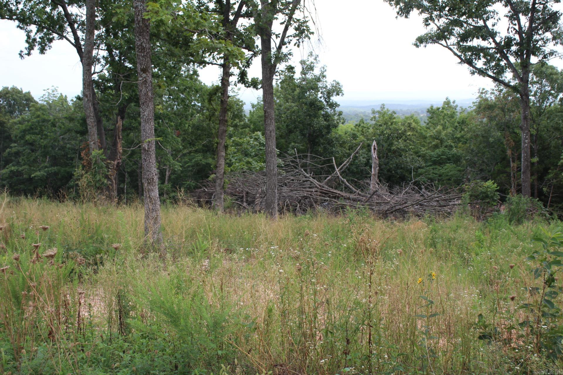 Tract 2  MC 5039  Valley Springs, AR