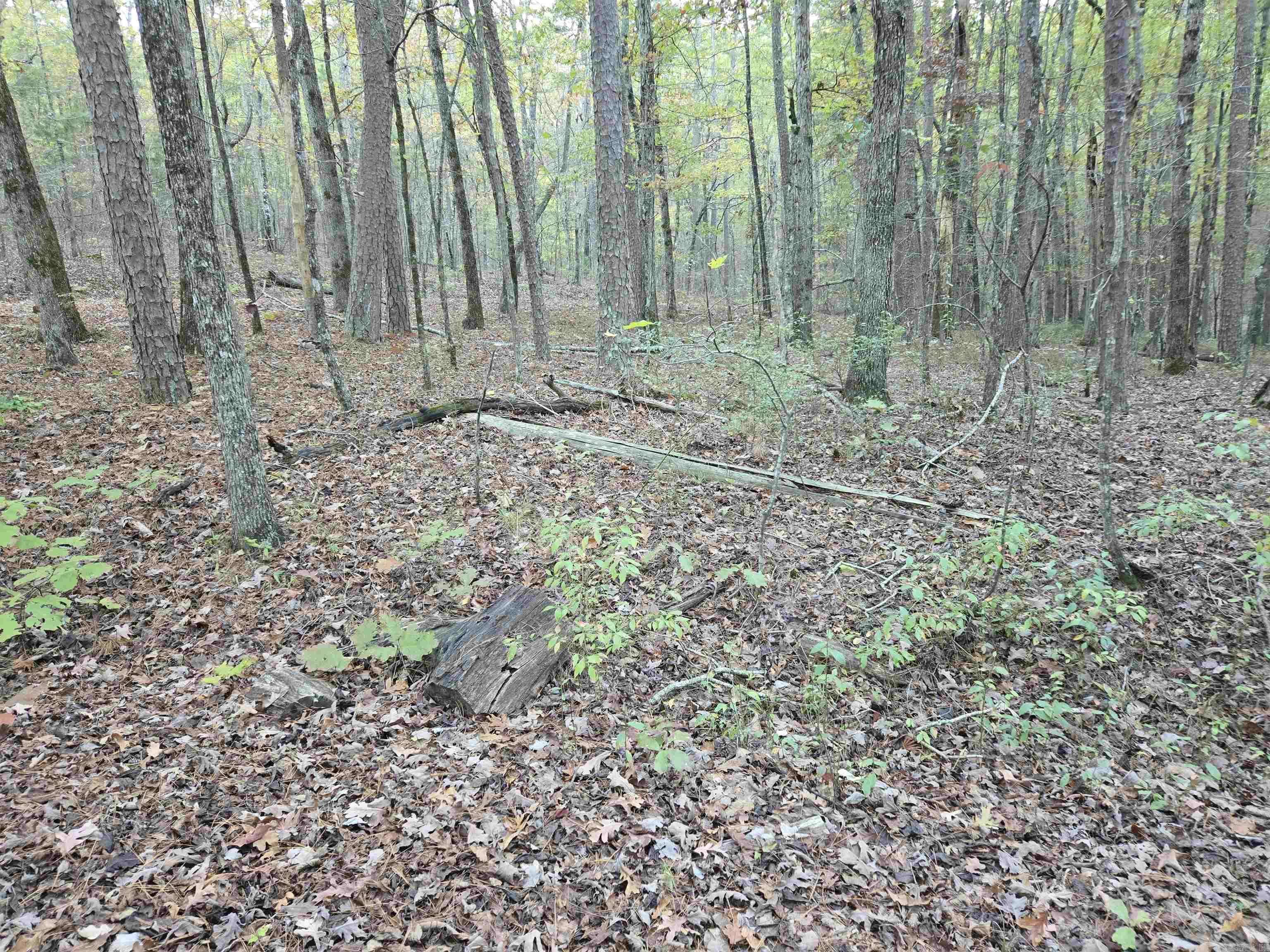 43  Velazquez  Hot Springs Village, AR