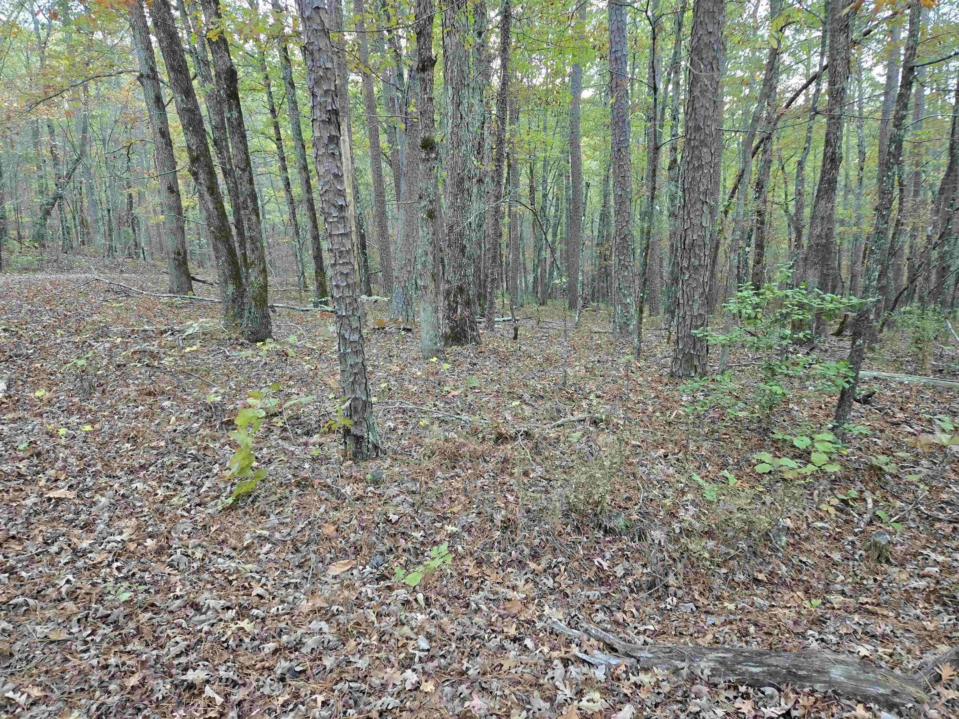 43  Velazquez  Hot Springs Village, AR
