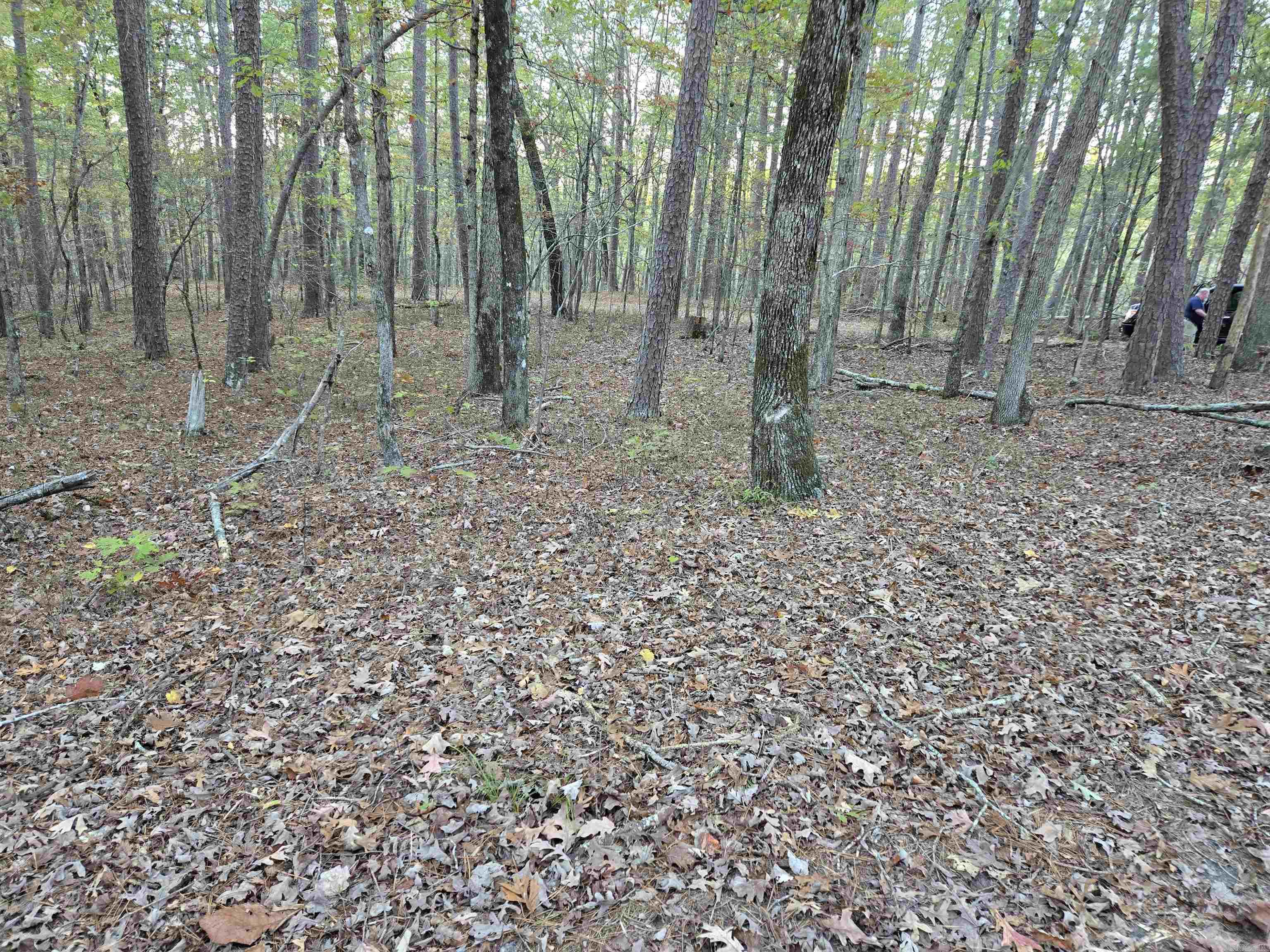 43  Velazquez  Hot Springs Village, AR