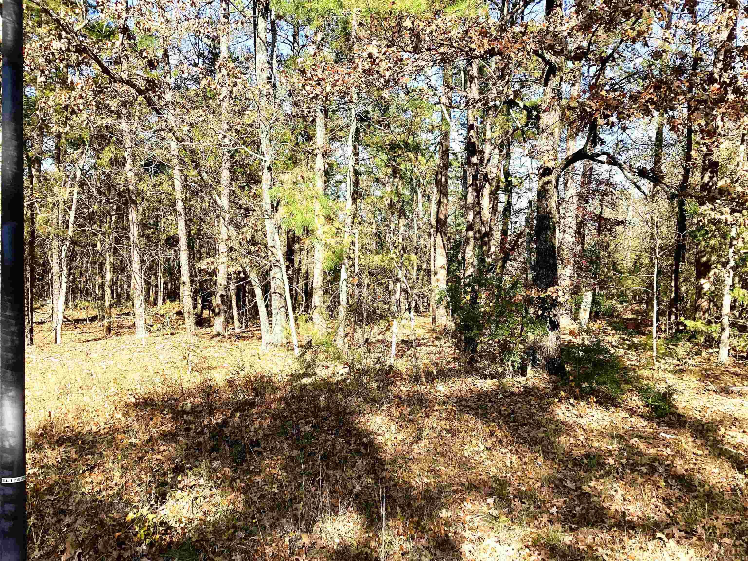 1  Veranillo  Hot Springs Village, AR