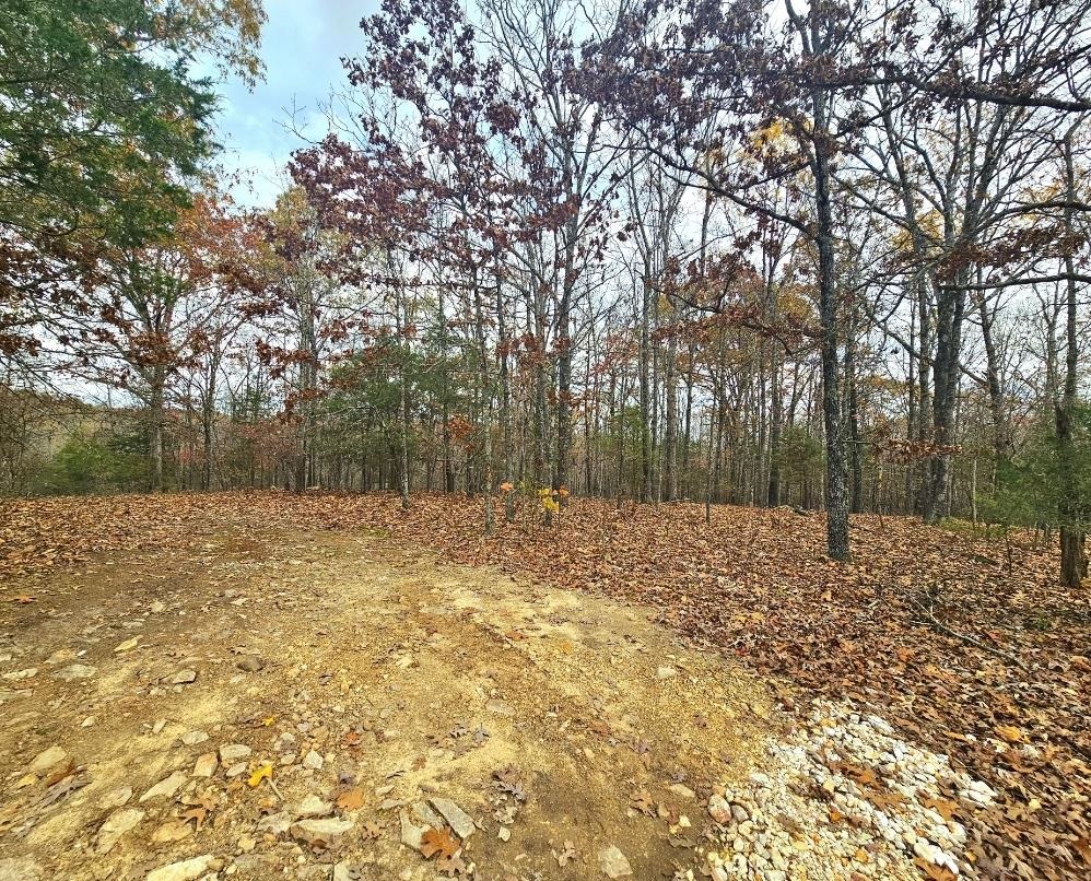 00  Dome Valley  Cave City, AR