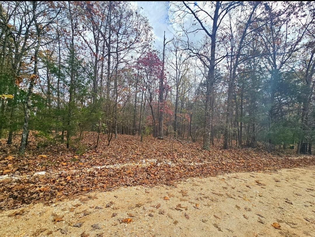 00  Dome Valley  Cave City, AR