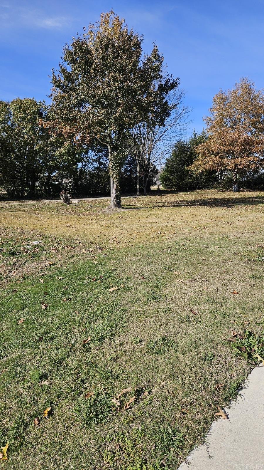 11885  Highway 49  Marmaduke, AR