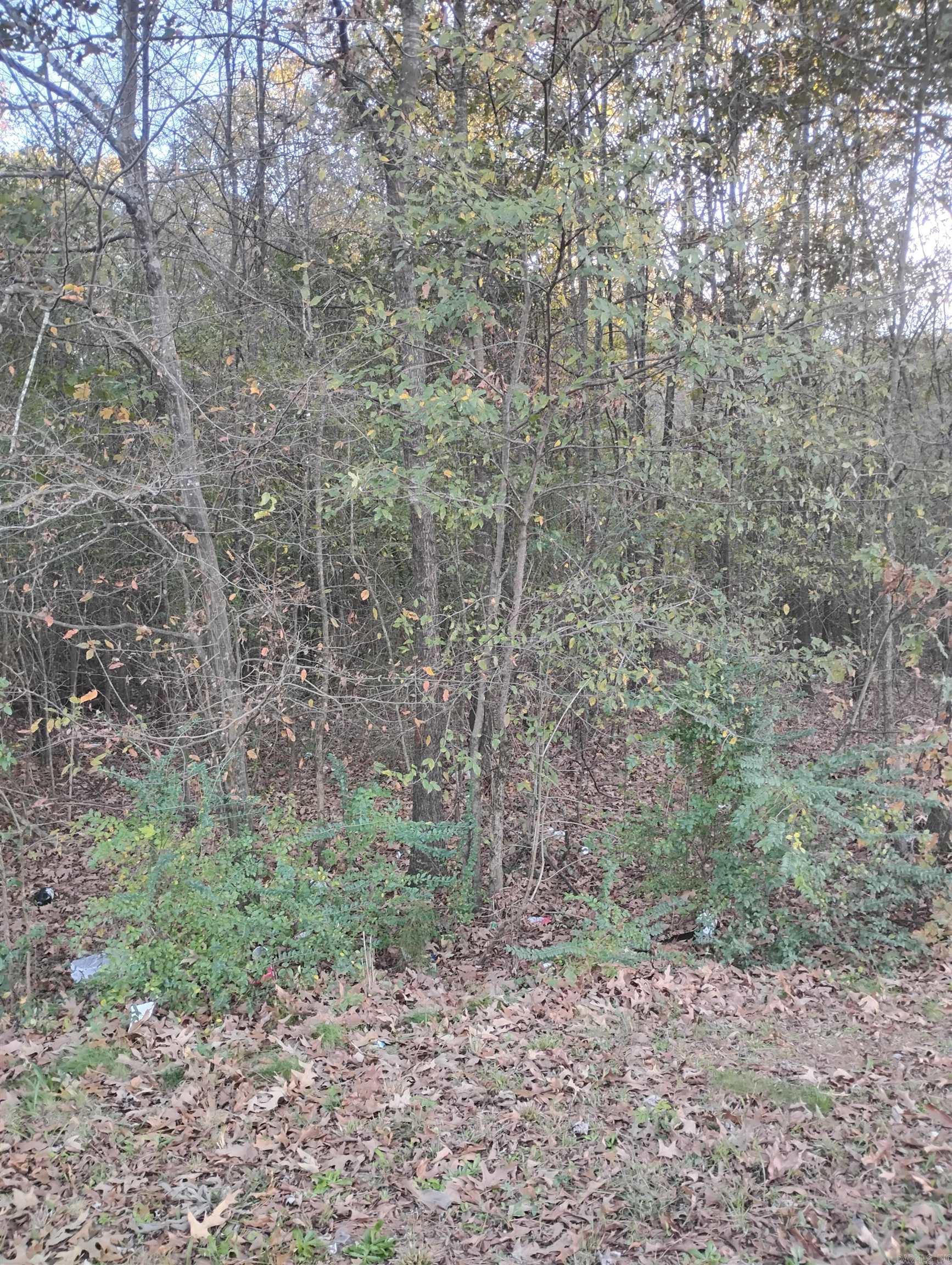7317  Mabelvale Pike  Little Rock, AR