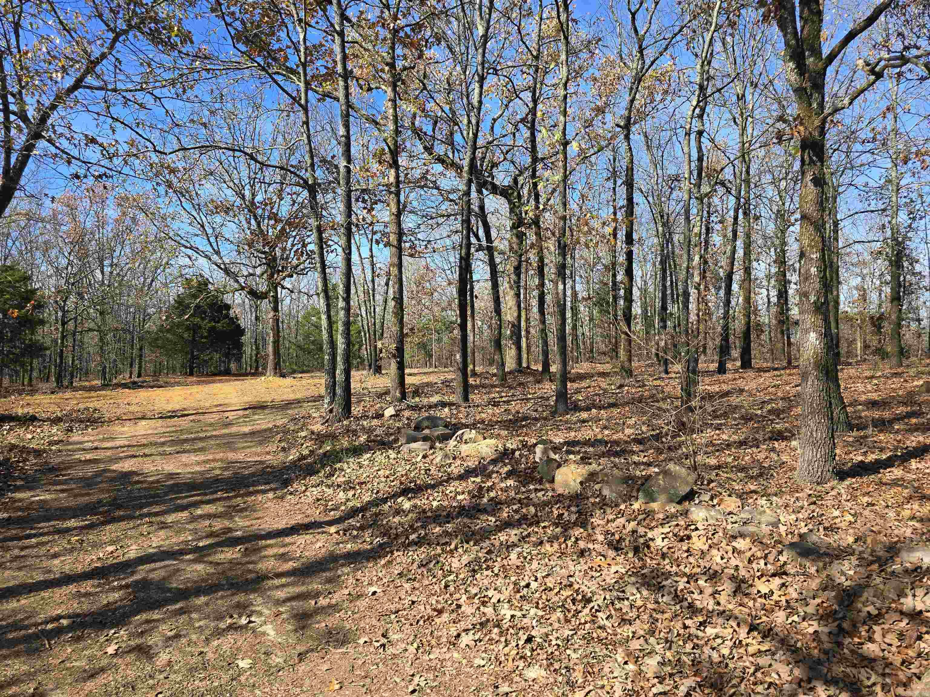 14  Rose  Conway, AR