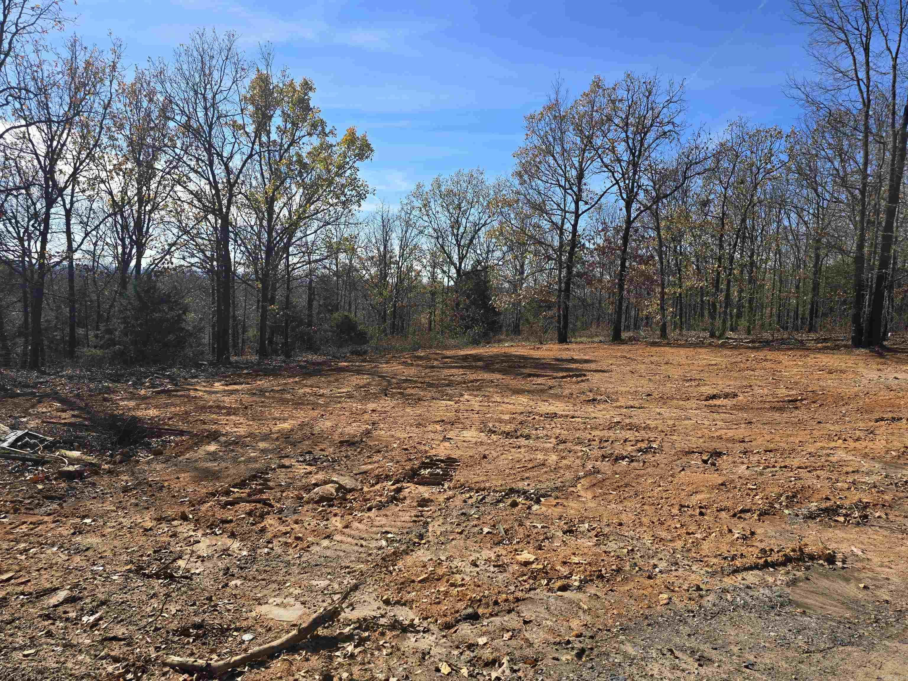 14  Rose  Conway, AR