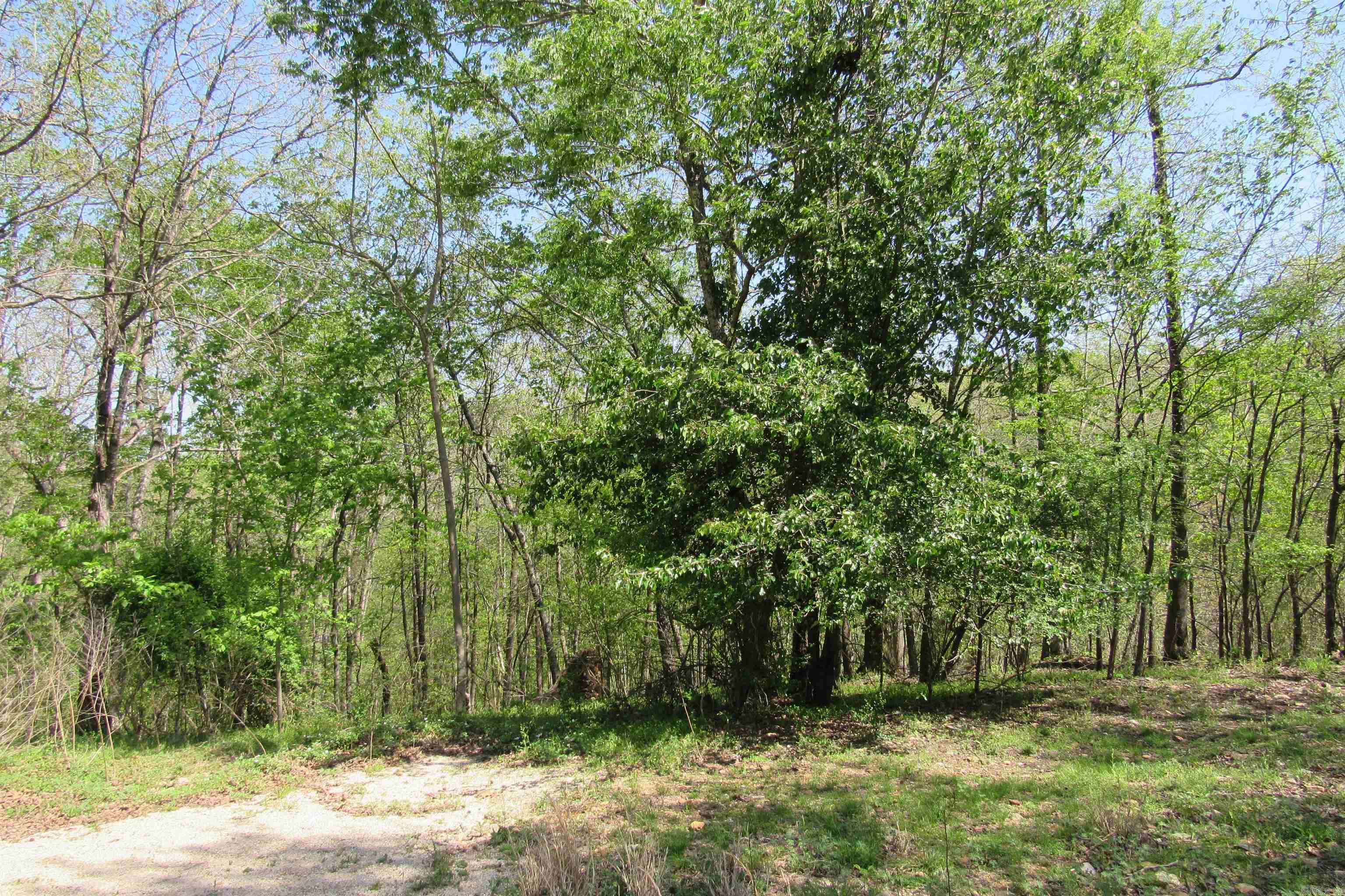 220  Chadwood  Hot Springs National Park, AR