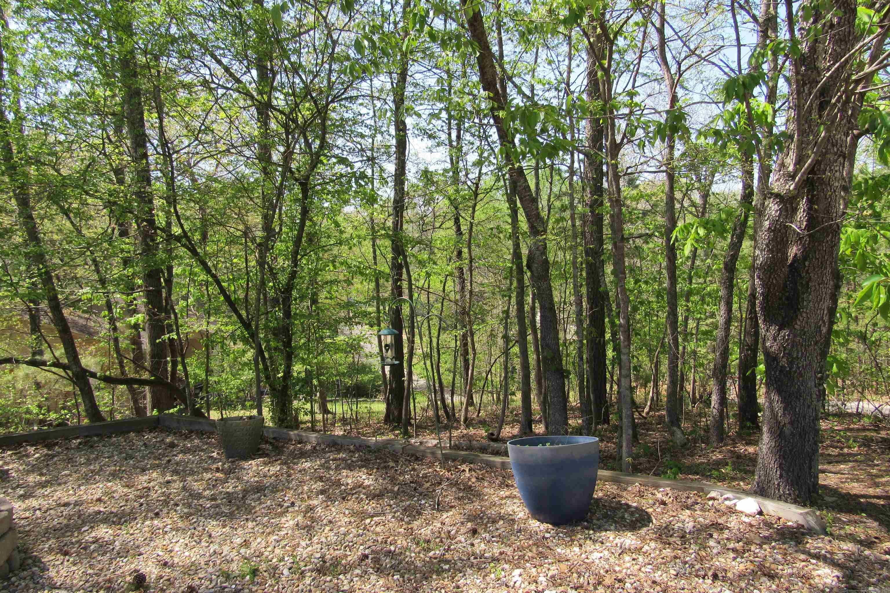 220  Chadwood  Hot Springs National Park, AR