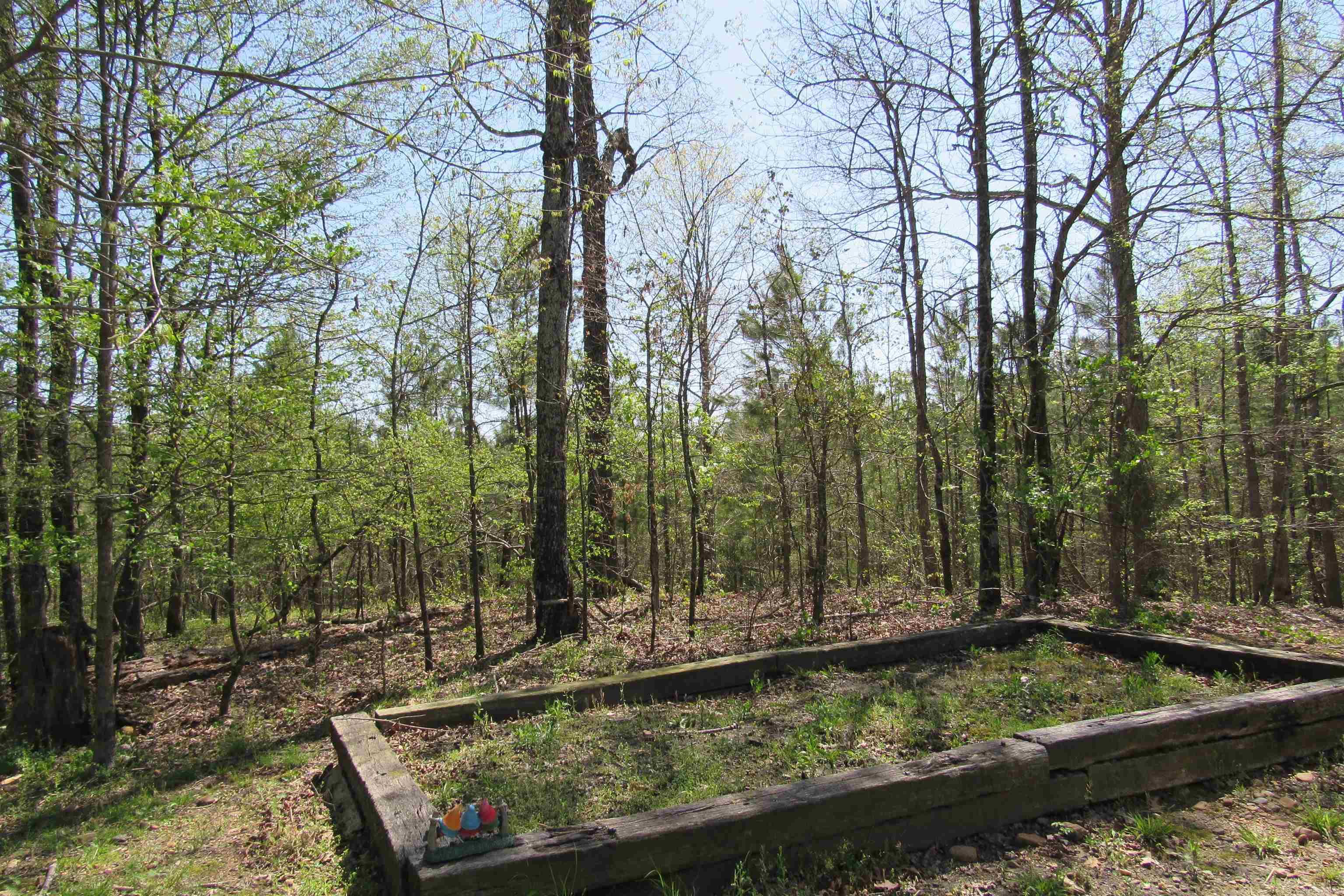 220  Chadwood  Hot Springs National Park, AR