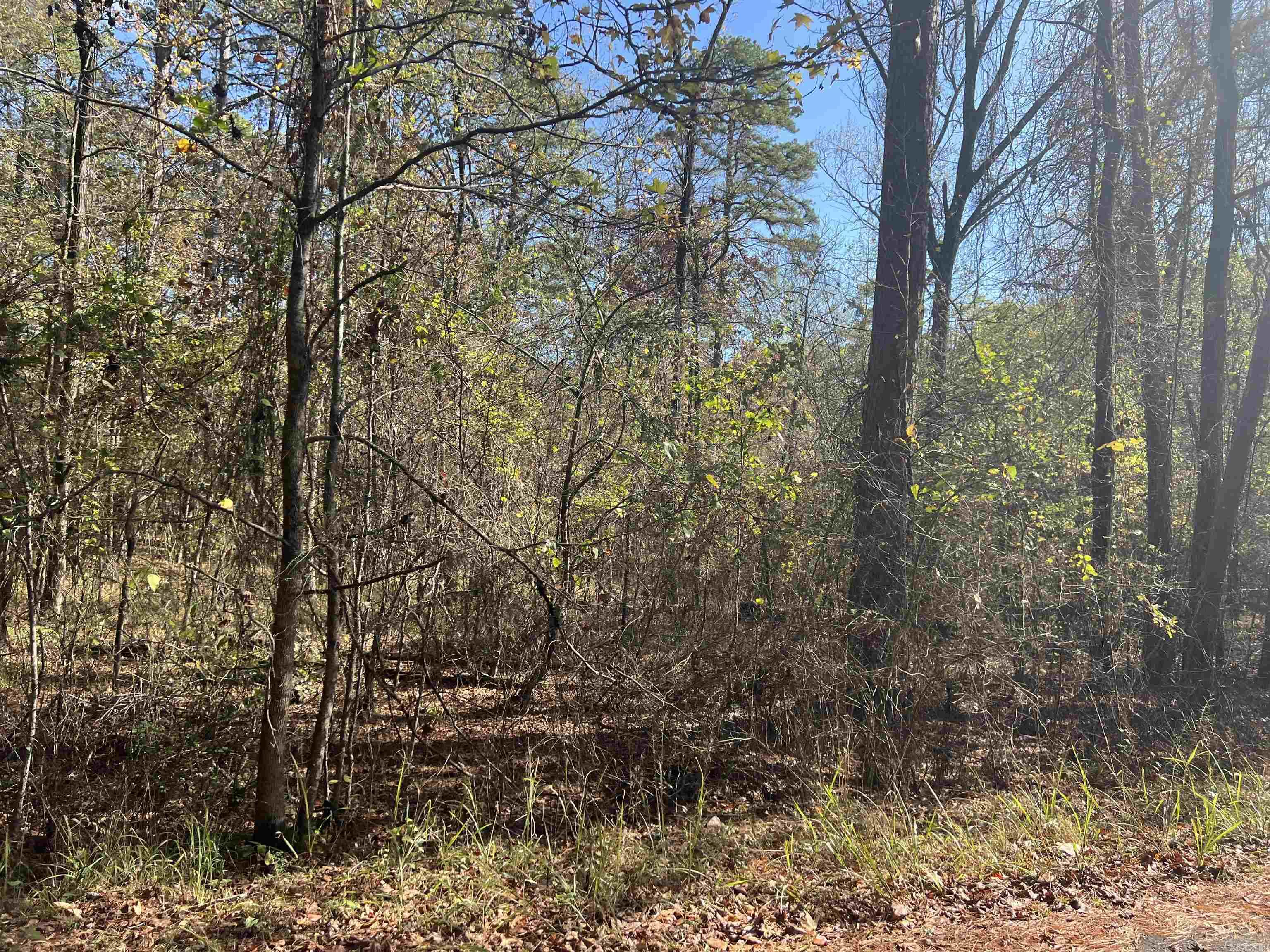 28  Zafiro  Hot Springs Village, AR
