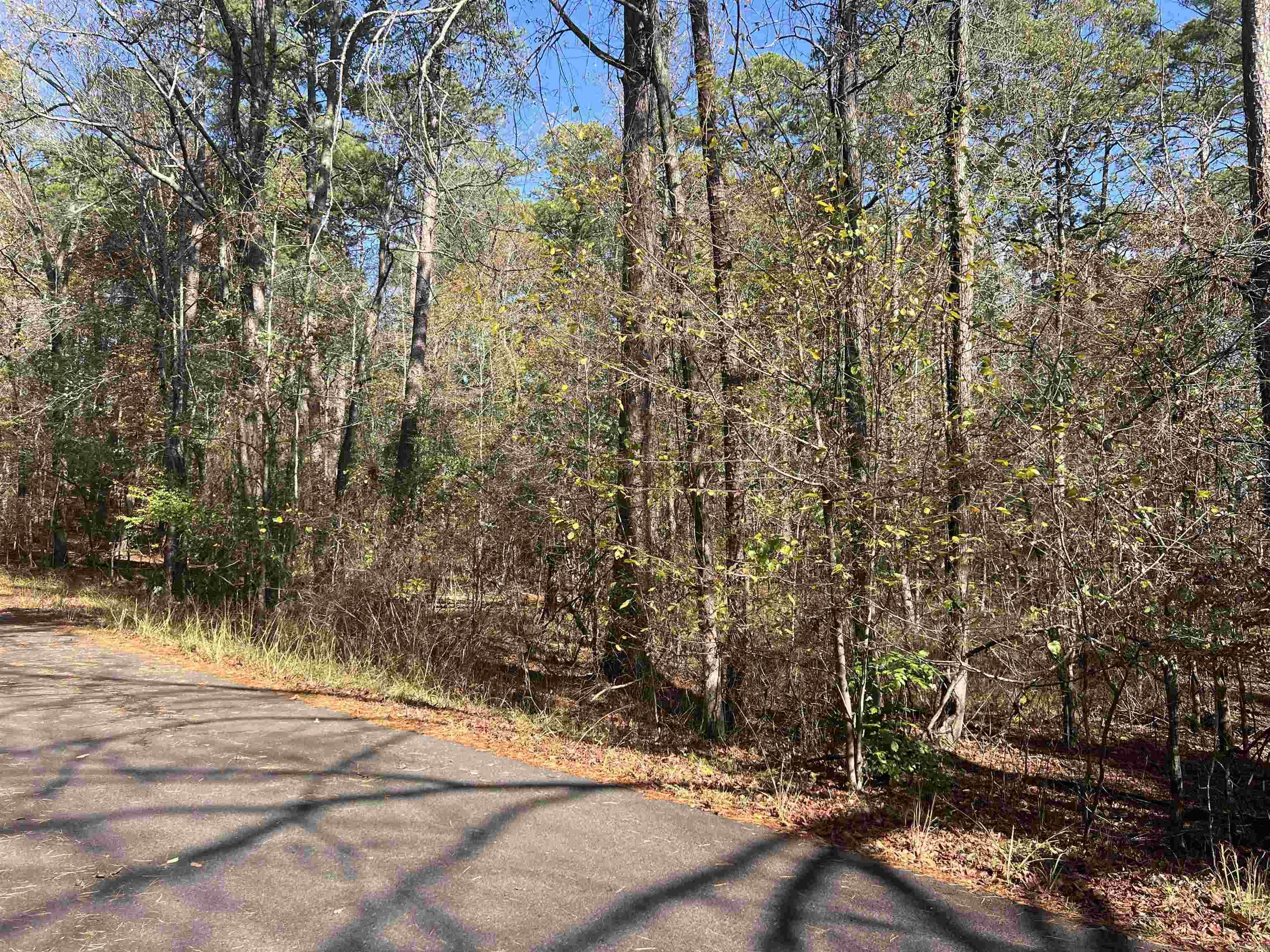 28  Zafiro  Hot Springs Village, AR