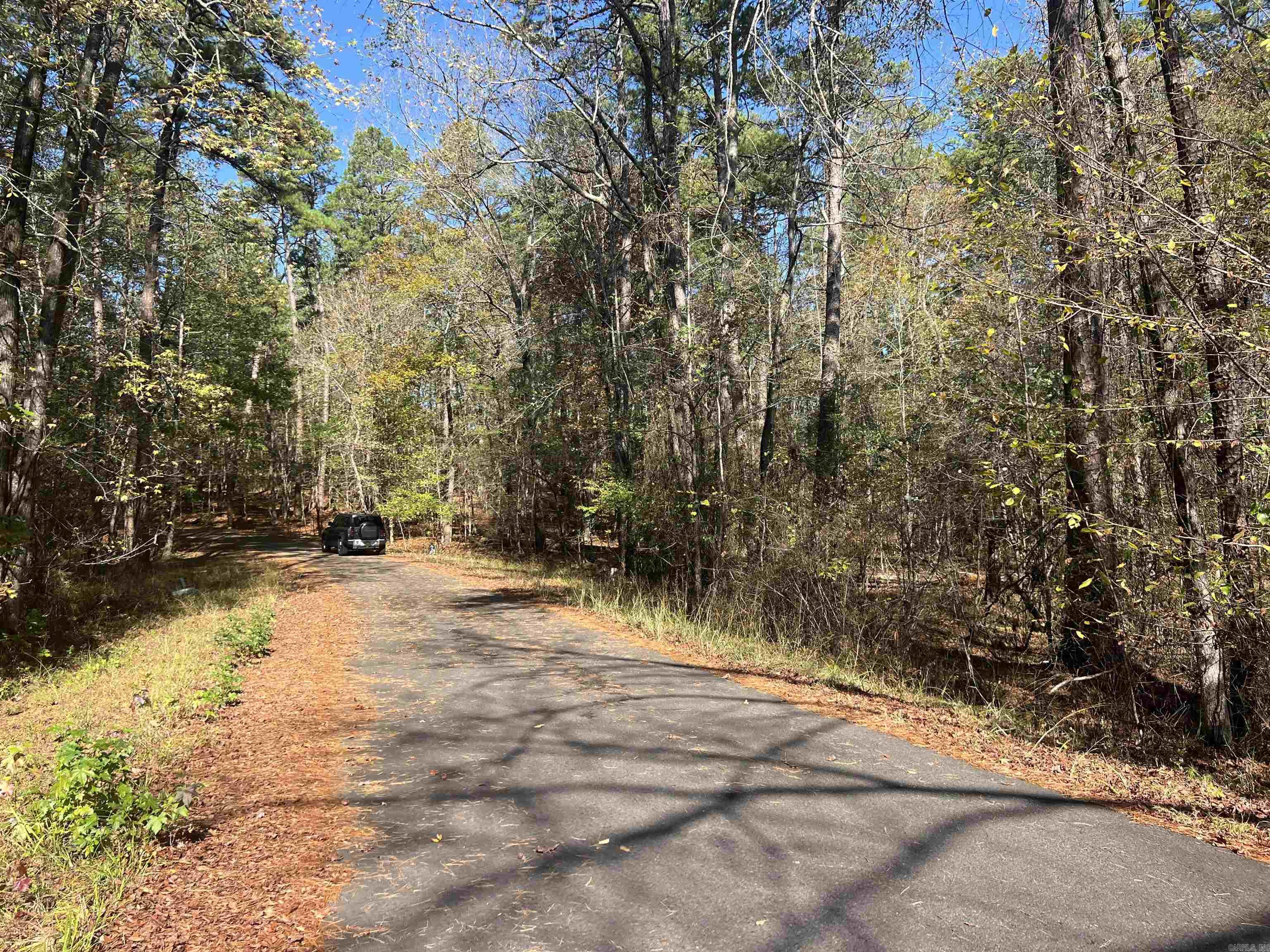 28  Zafiro  Hot Springs Village, AR