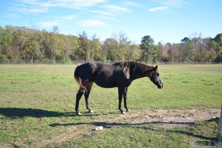 24923  Colonel Glenn  Little Rock, AR