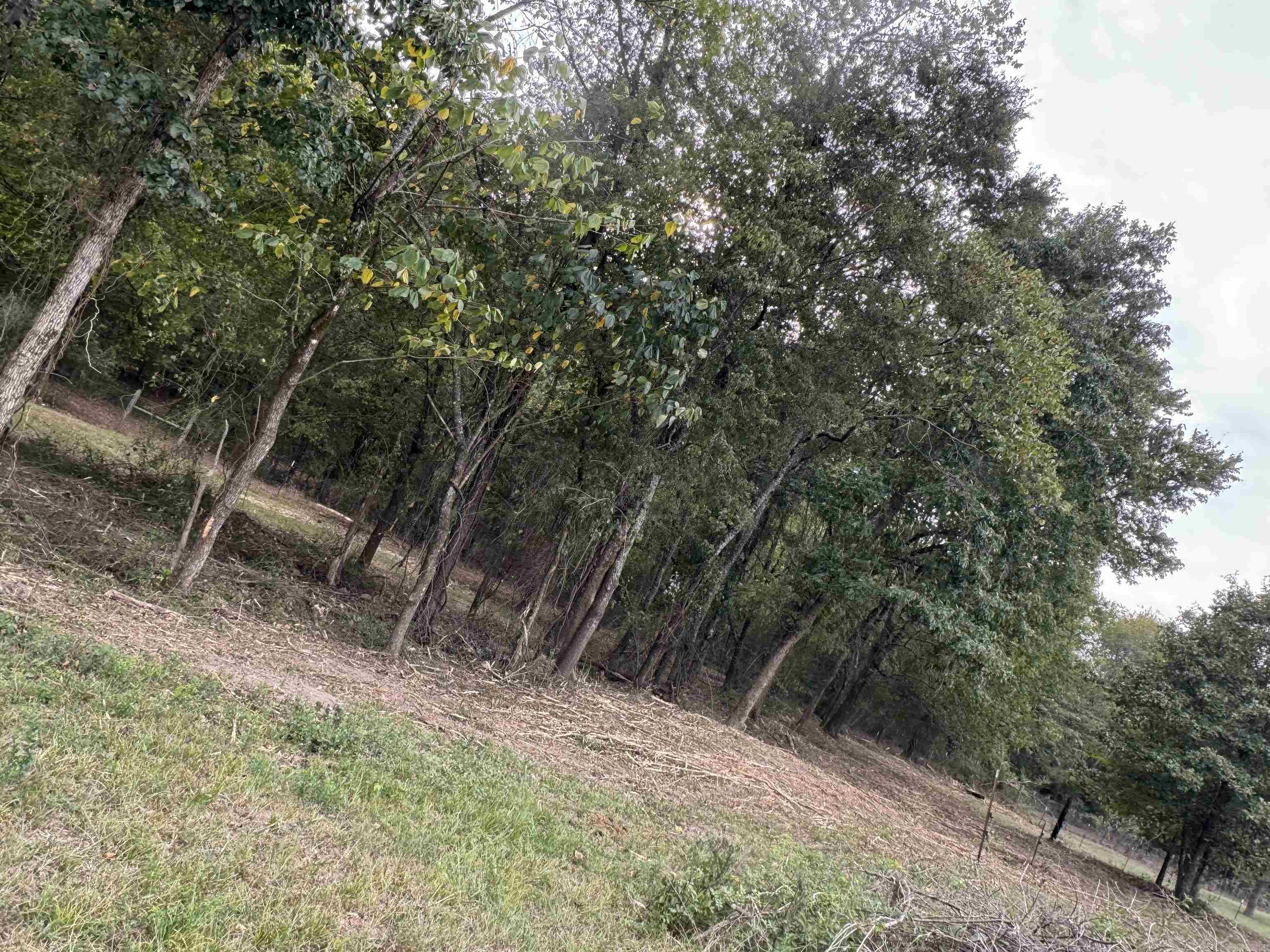 24923  Colonel Glenn  Little Rock, AR