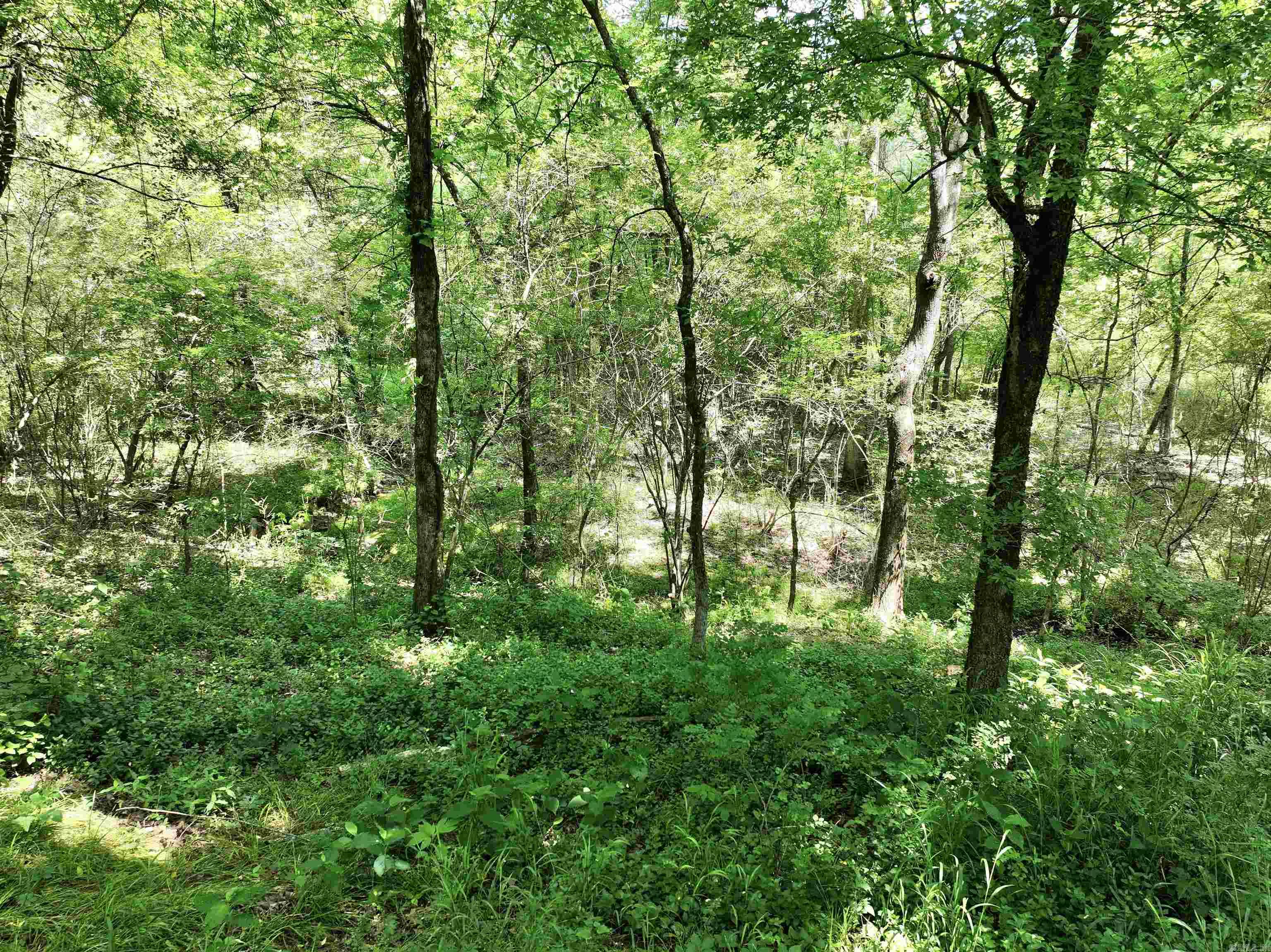 21  CHRIS ROAD  Amity, AR