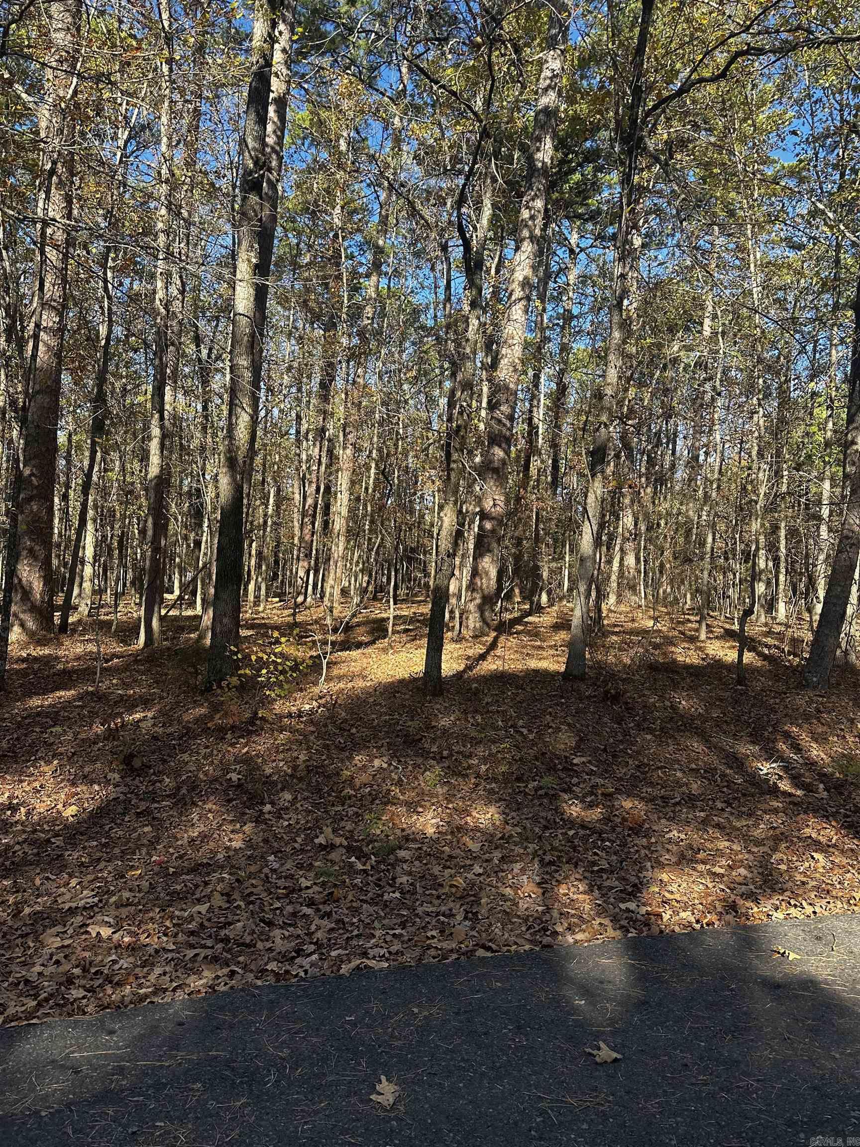4  Holgar  Hot Springs Village, AR