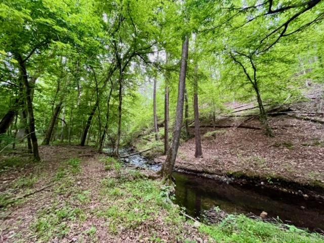 9048  Albert Pike  Royal, AR