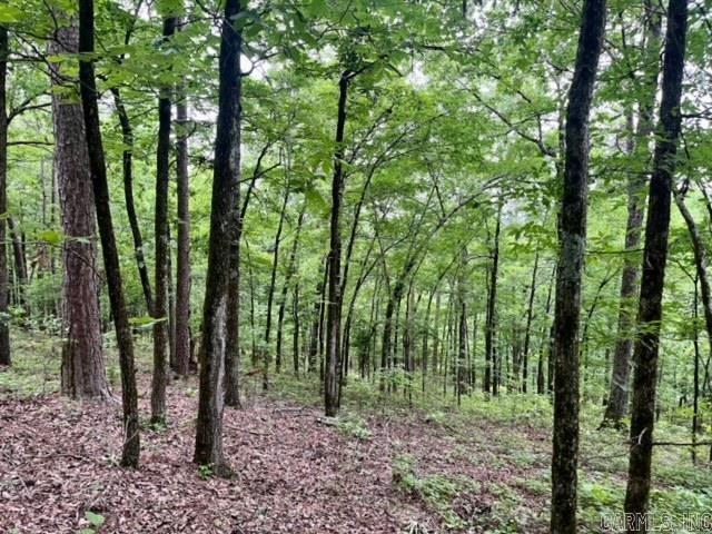 9048  Albert Pike  Royal, AR