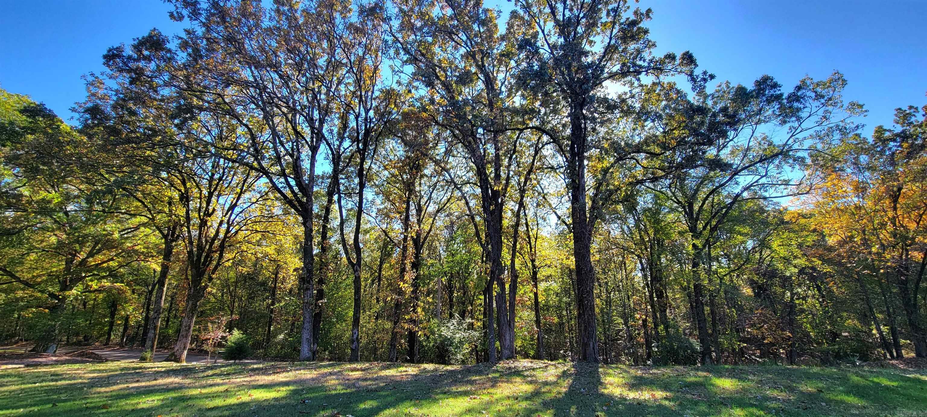 1840  Cogbill Rd  Wynne, AR