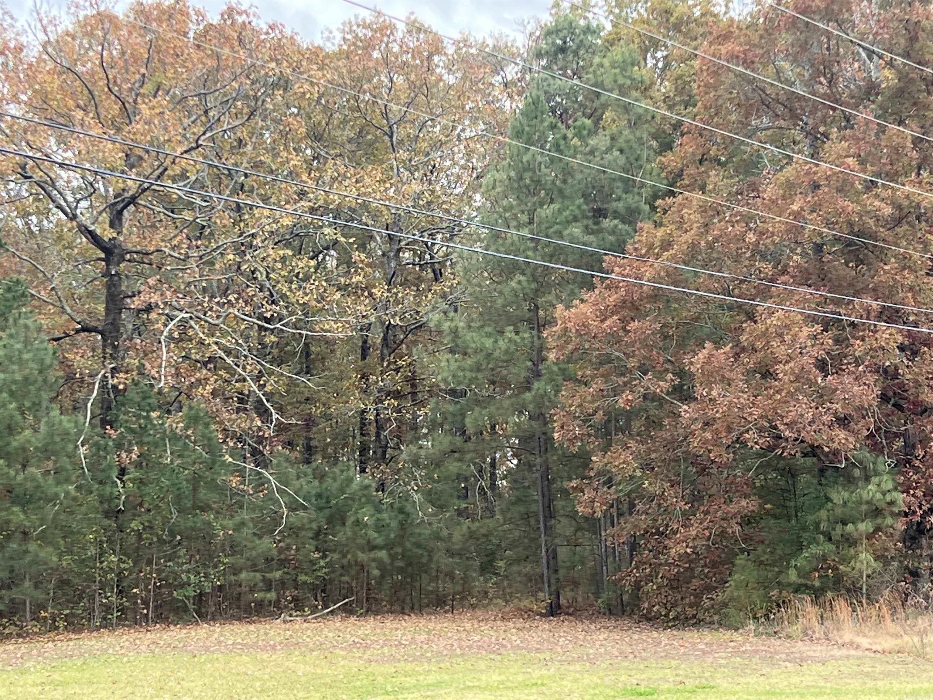 0  Hoadley  White Hall, AR