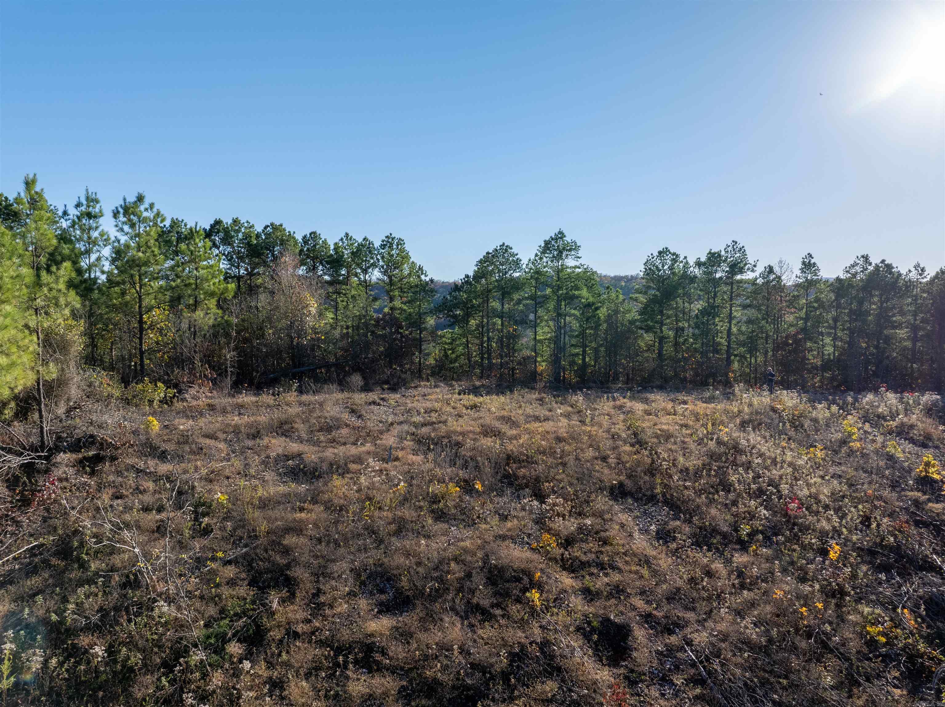 Lot 13  Polk Road 617  Mena, AR