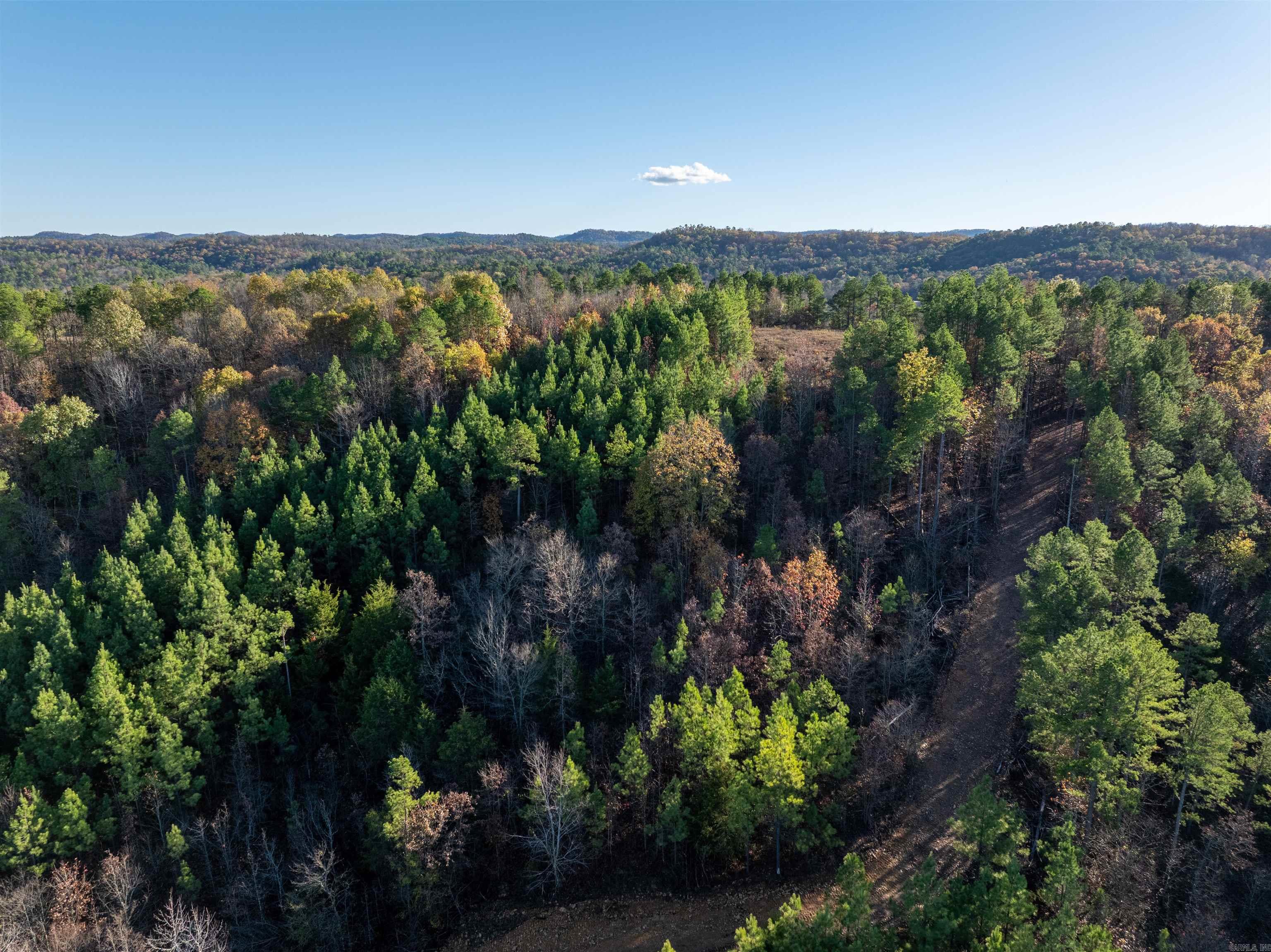 Lot 13  Polk Road 617  Mena, AR