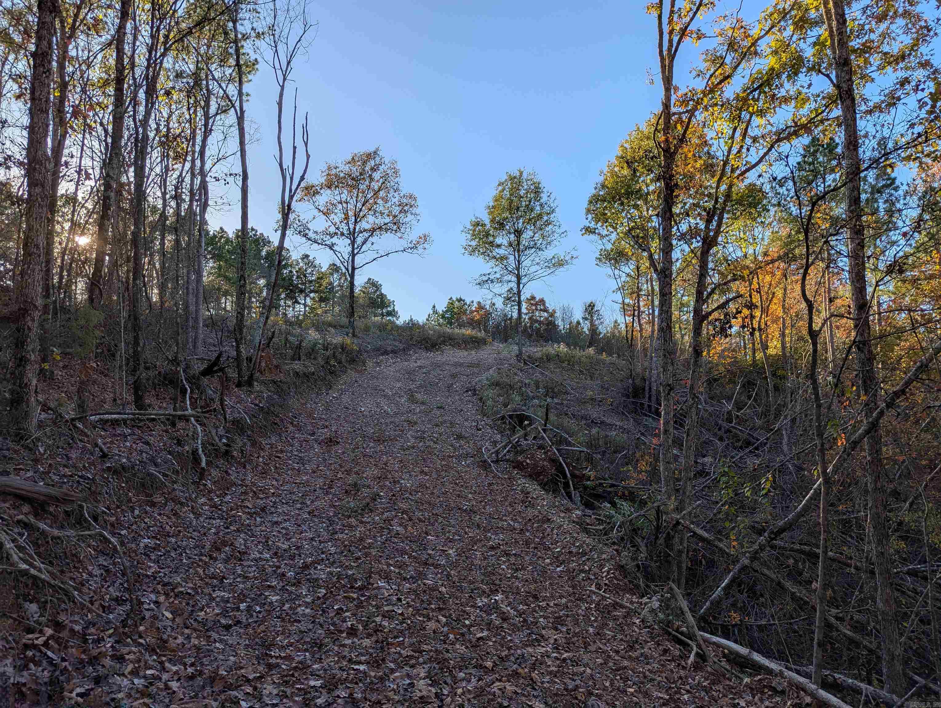 Lot 13  Polk Road 617  Mena, AR