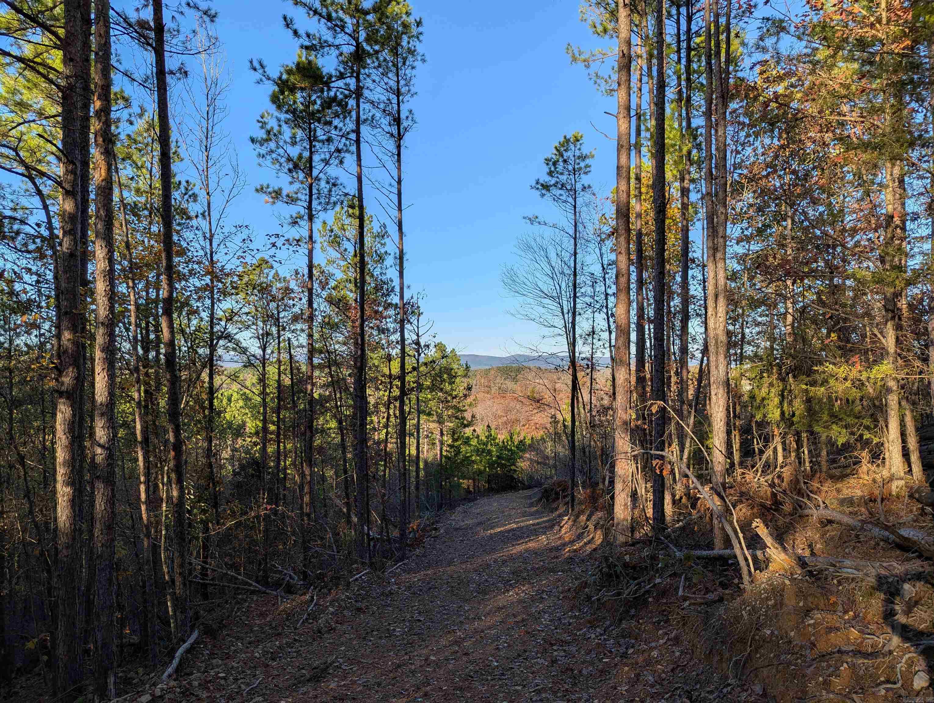 Lot 13  Polk Road 617  Mena, AR