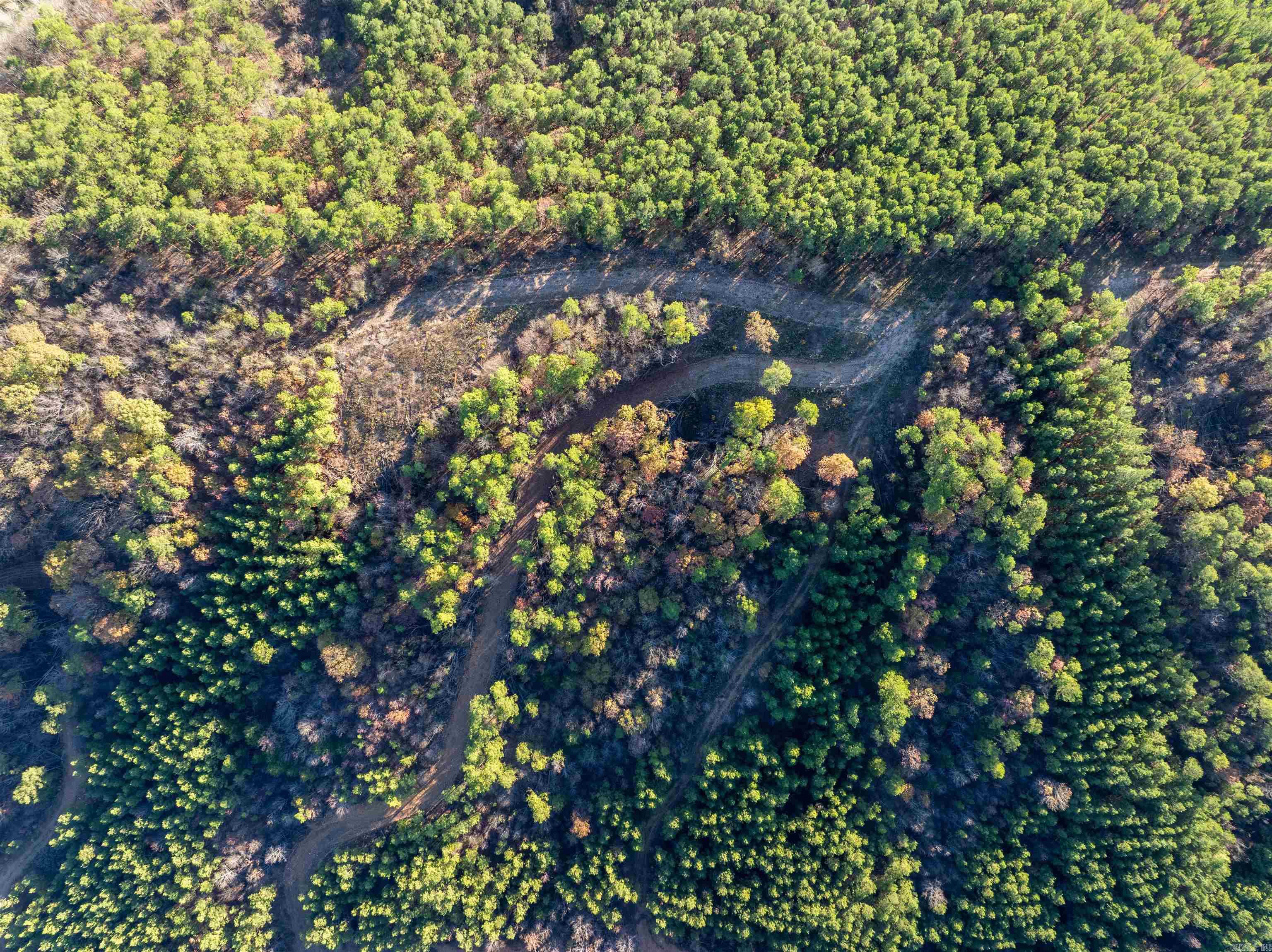Lot 13  Polk Road 617  Mena, AR