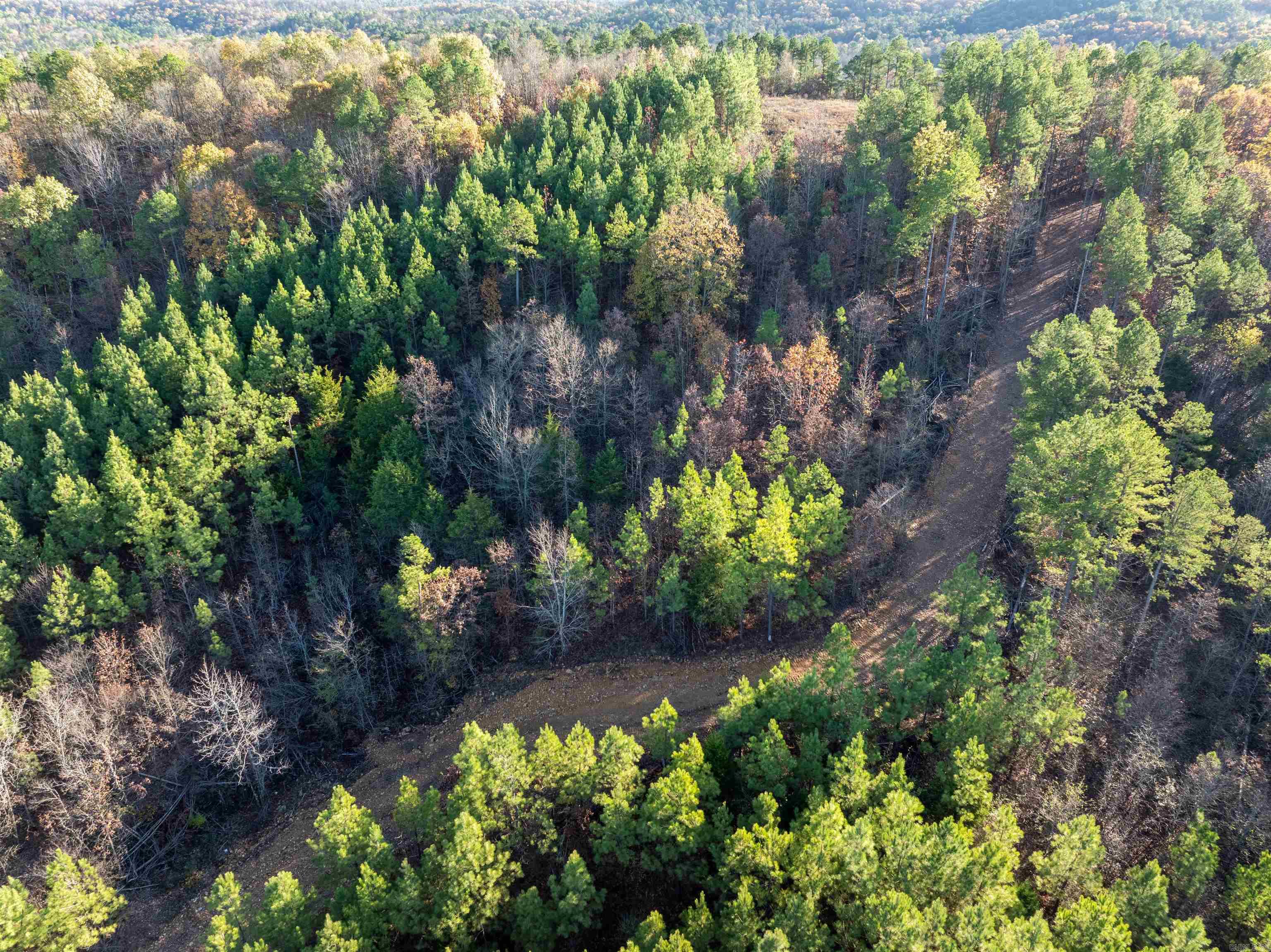 Lot 13  Polk Road 617  Mena, AR