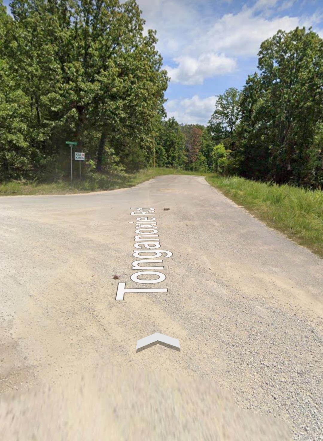 Lot 10  Weekiwachee  Cherokee Village, AR