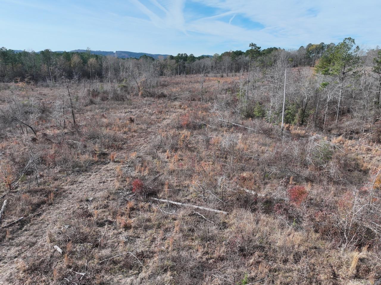 289  Rice  Amity, AR