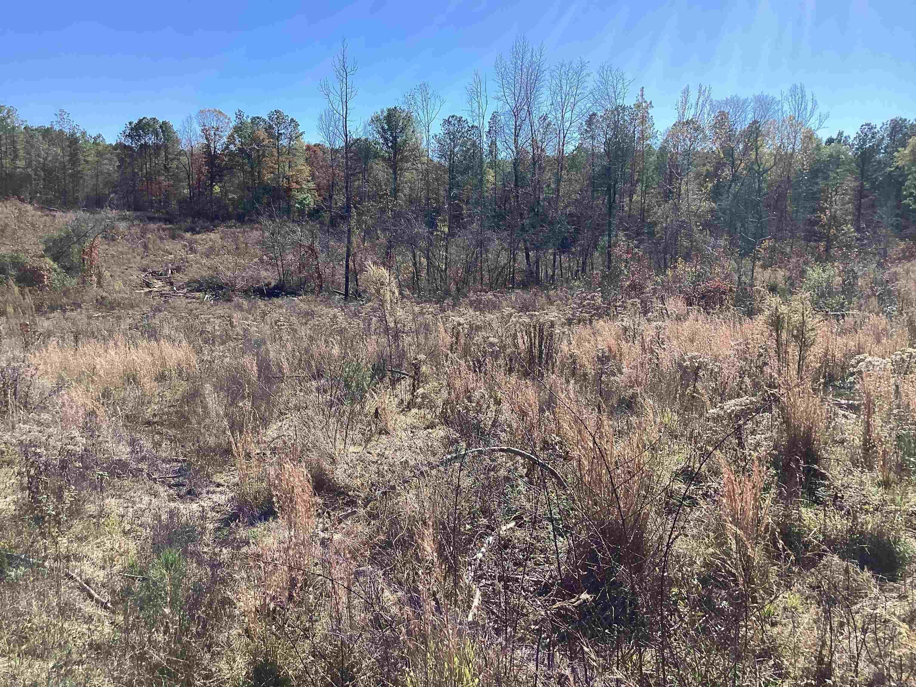 289  Rice  Amity, AR