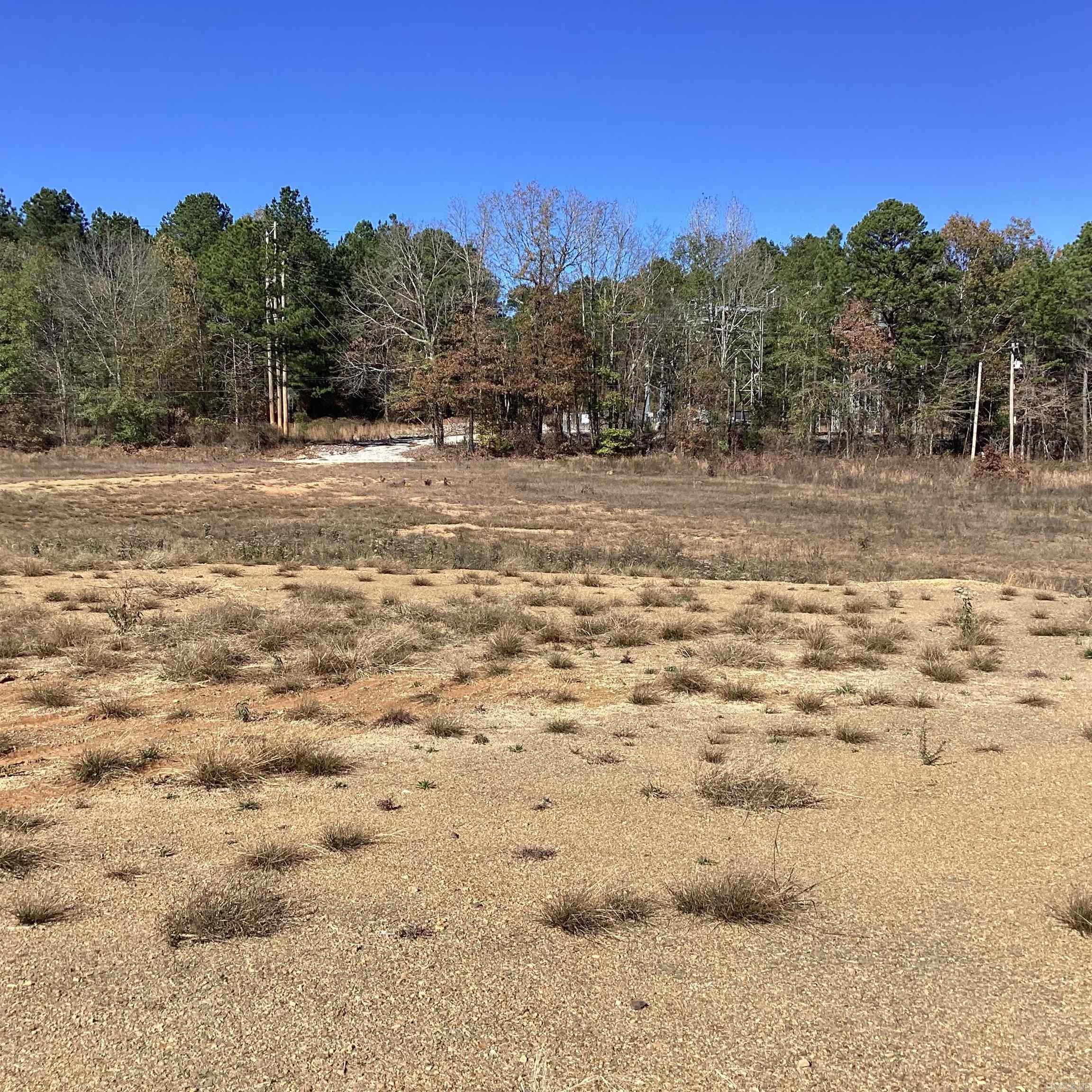 289  Rice  Amity, AR