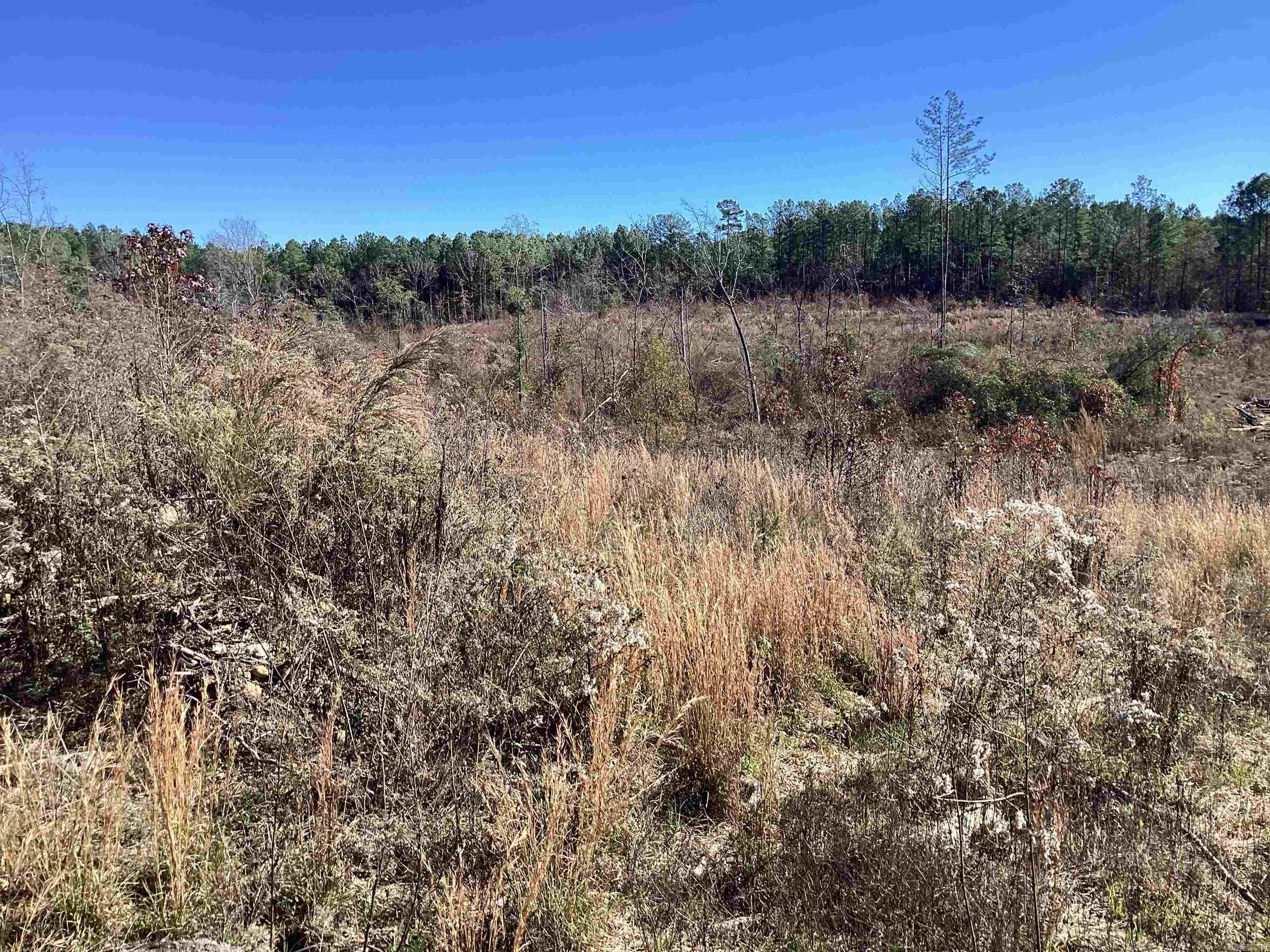 289  Rice  Amity, AR