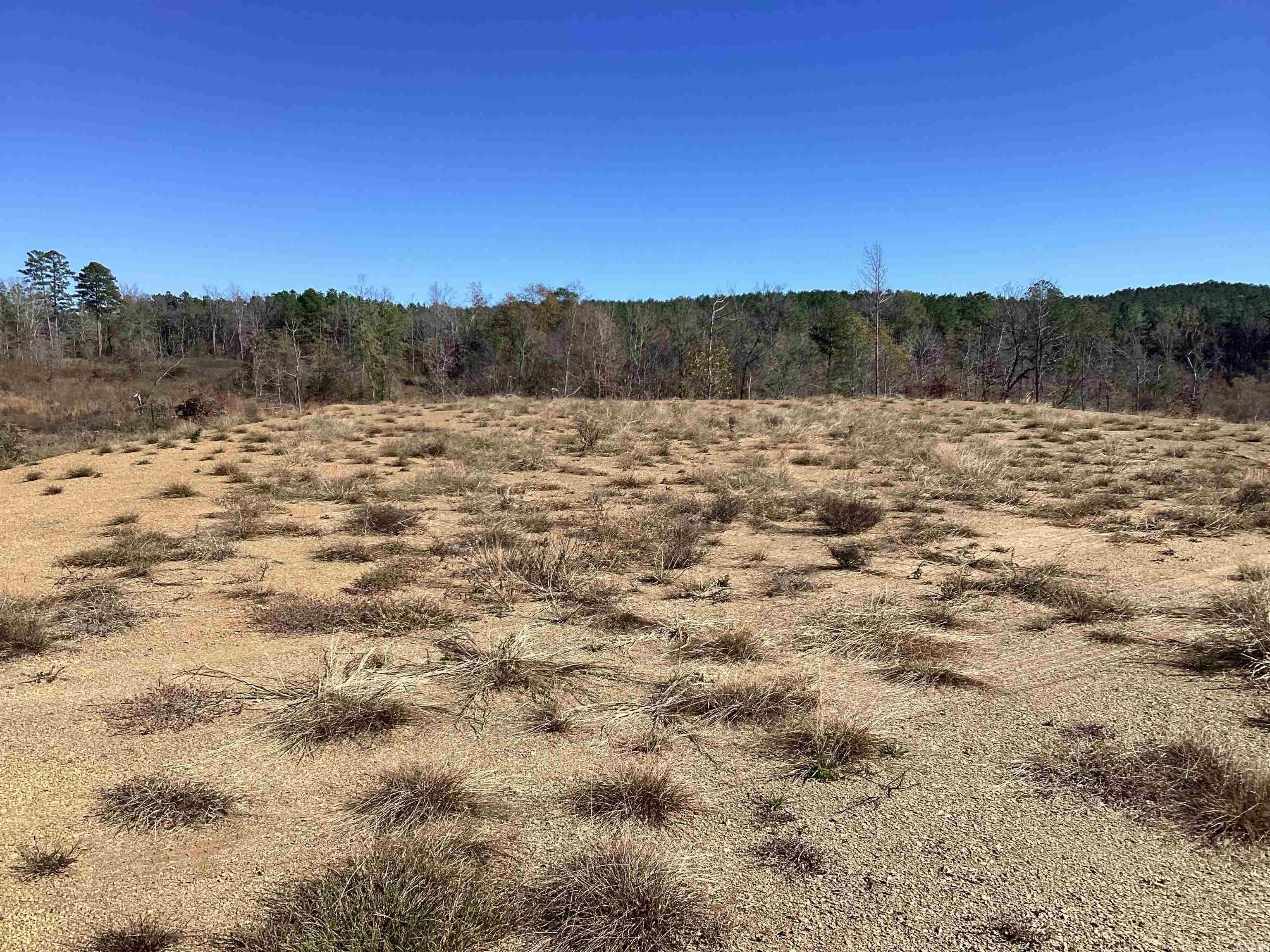 289  Rice  Amity, AR