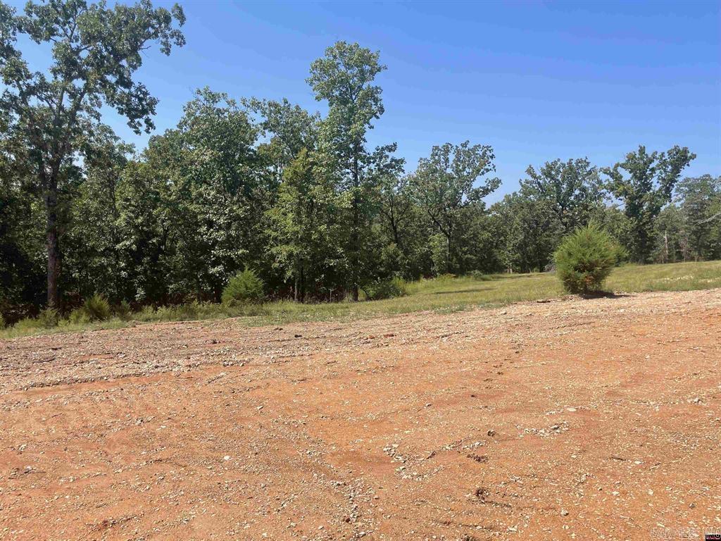 1095  CR 19  Mountain Home, AR